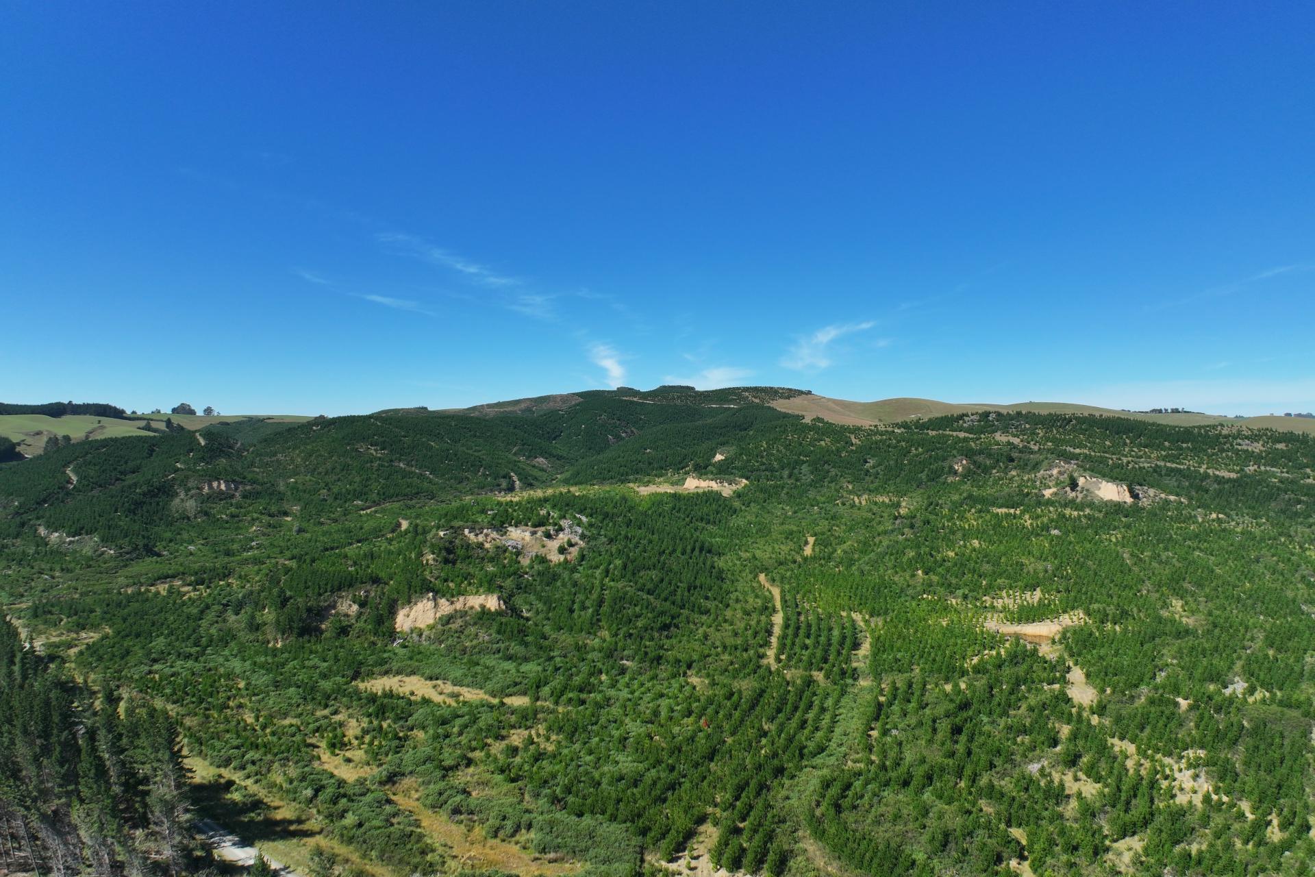 Waitahuna Gully Road, Waitahuna Gully