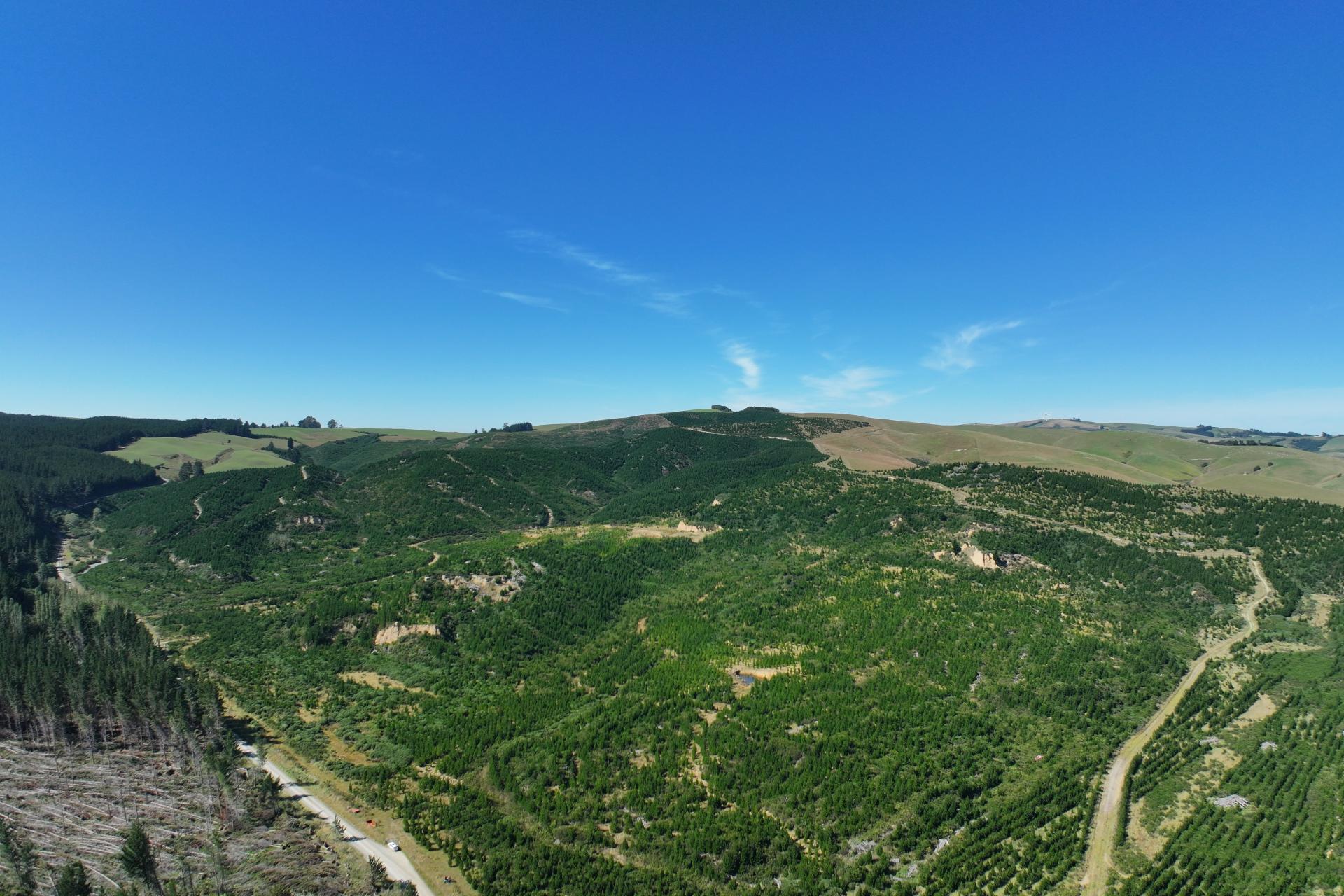 Waitahuna Gully Road, Waitahuna Gully