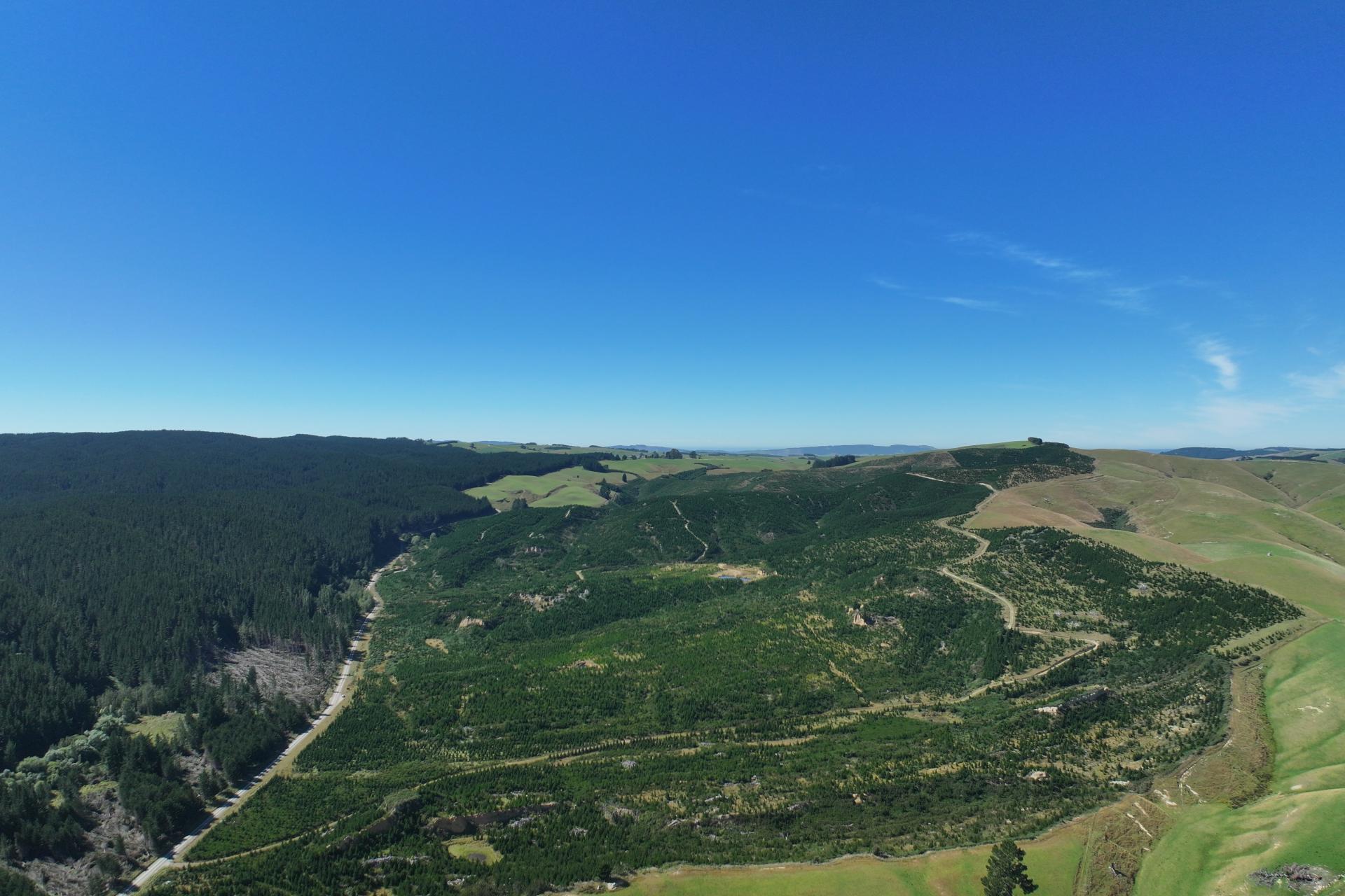 Waitahuna Gully Road, Waitahuna Gully
