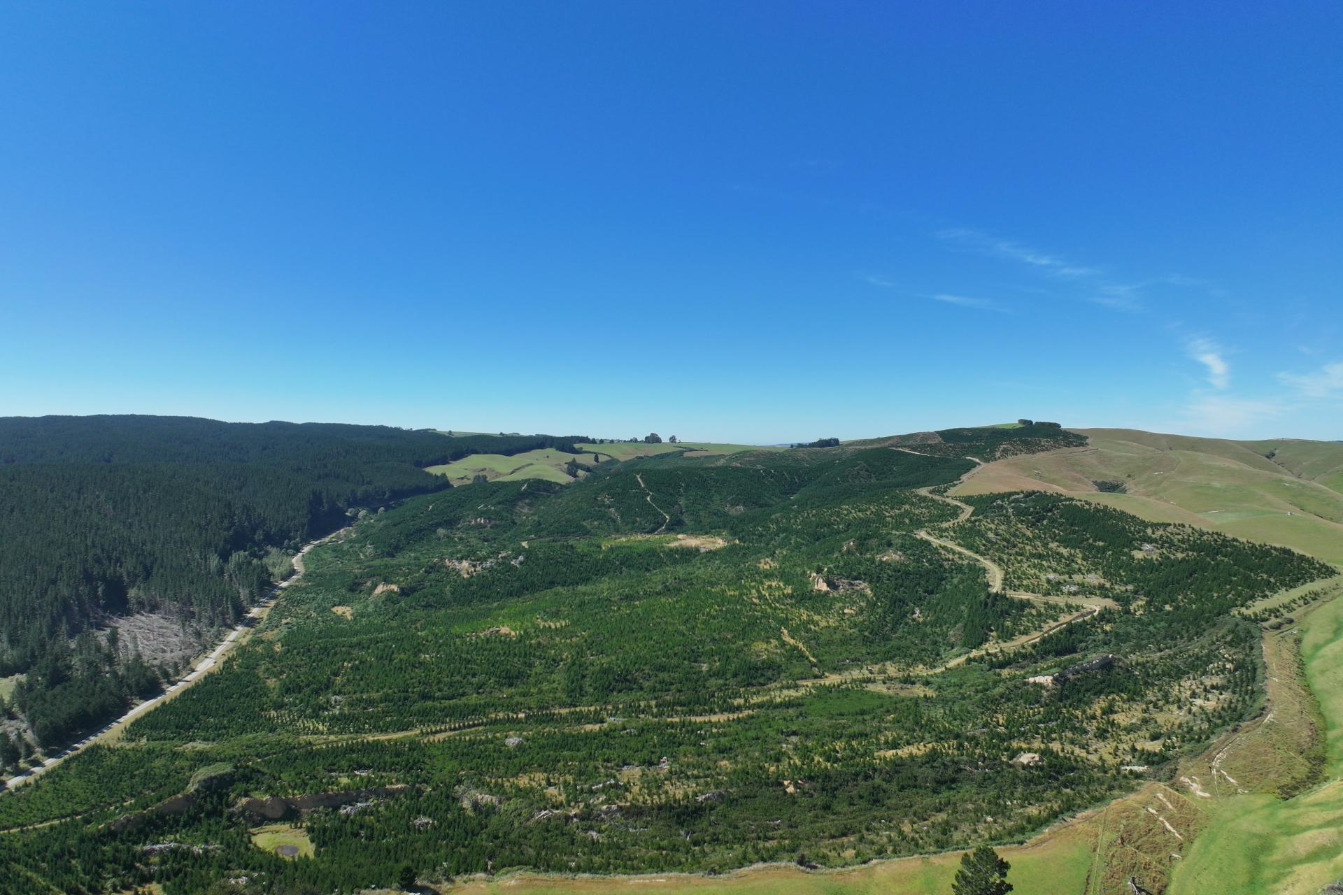 Waitahuna Gully Road, Waitahuna Gully