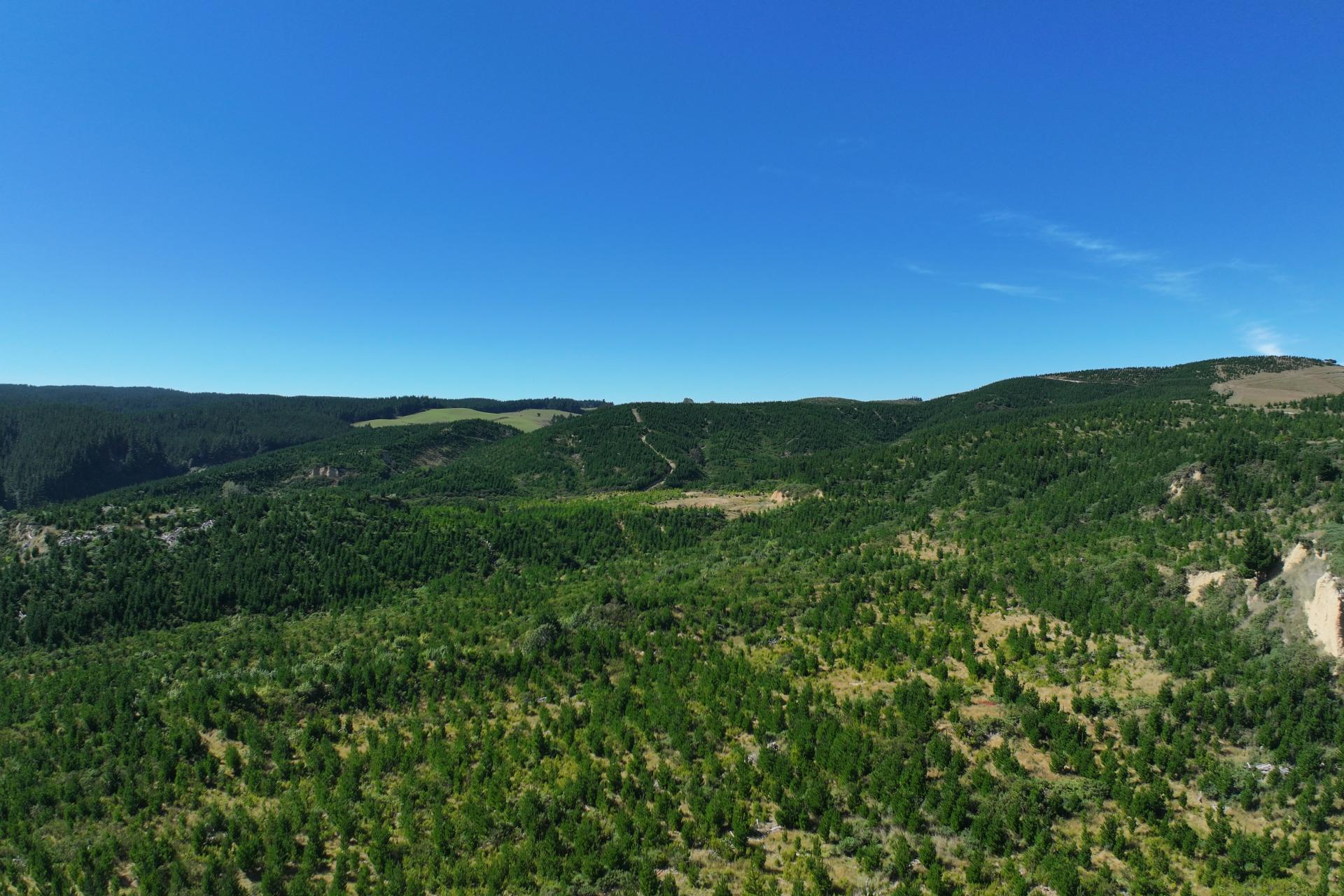 Waitahuna Gully Road, Waitahuna Gully
