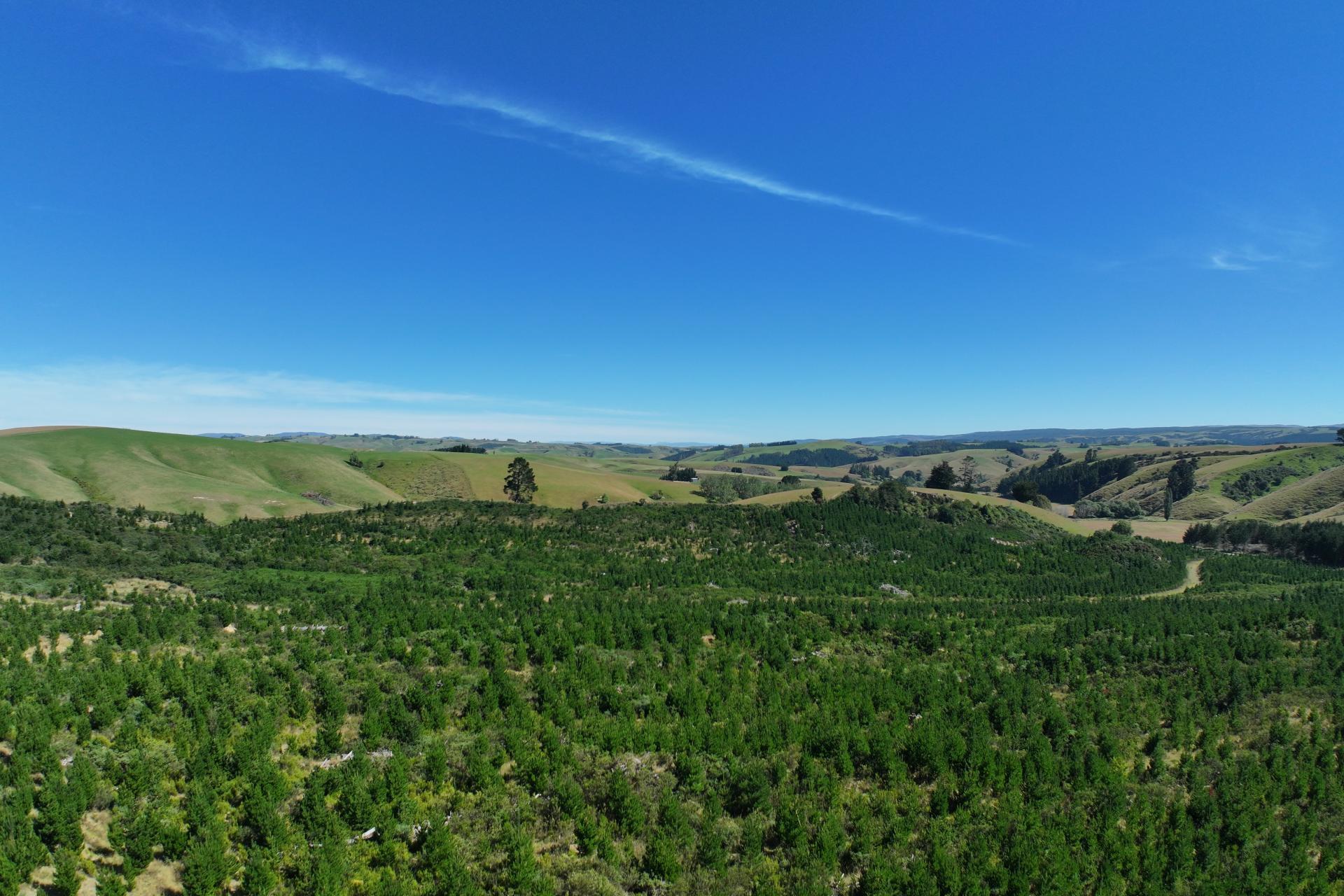 Waitahuna Gully Road, Waitahuna Gully