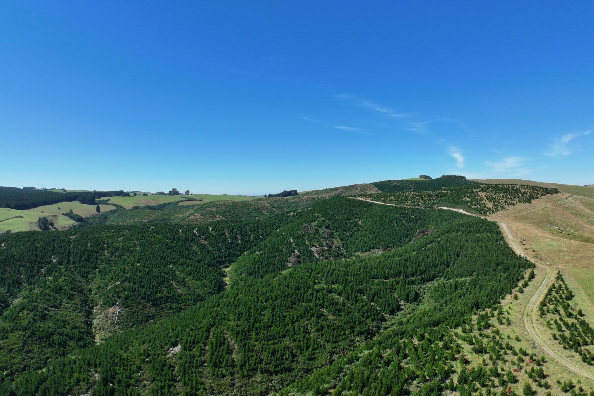 Waitahuna Gully Road, Waitahuna Gully