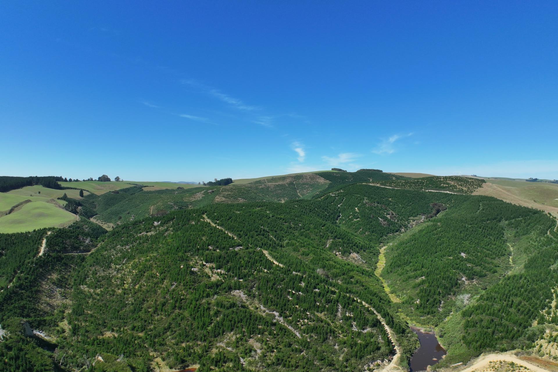 Waitahuna Gully Road, Waitahuna Gully