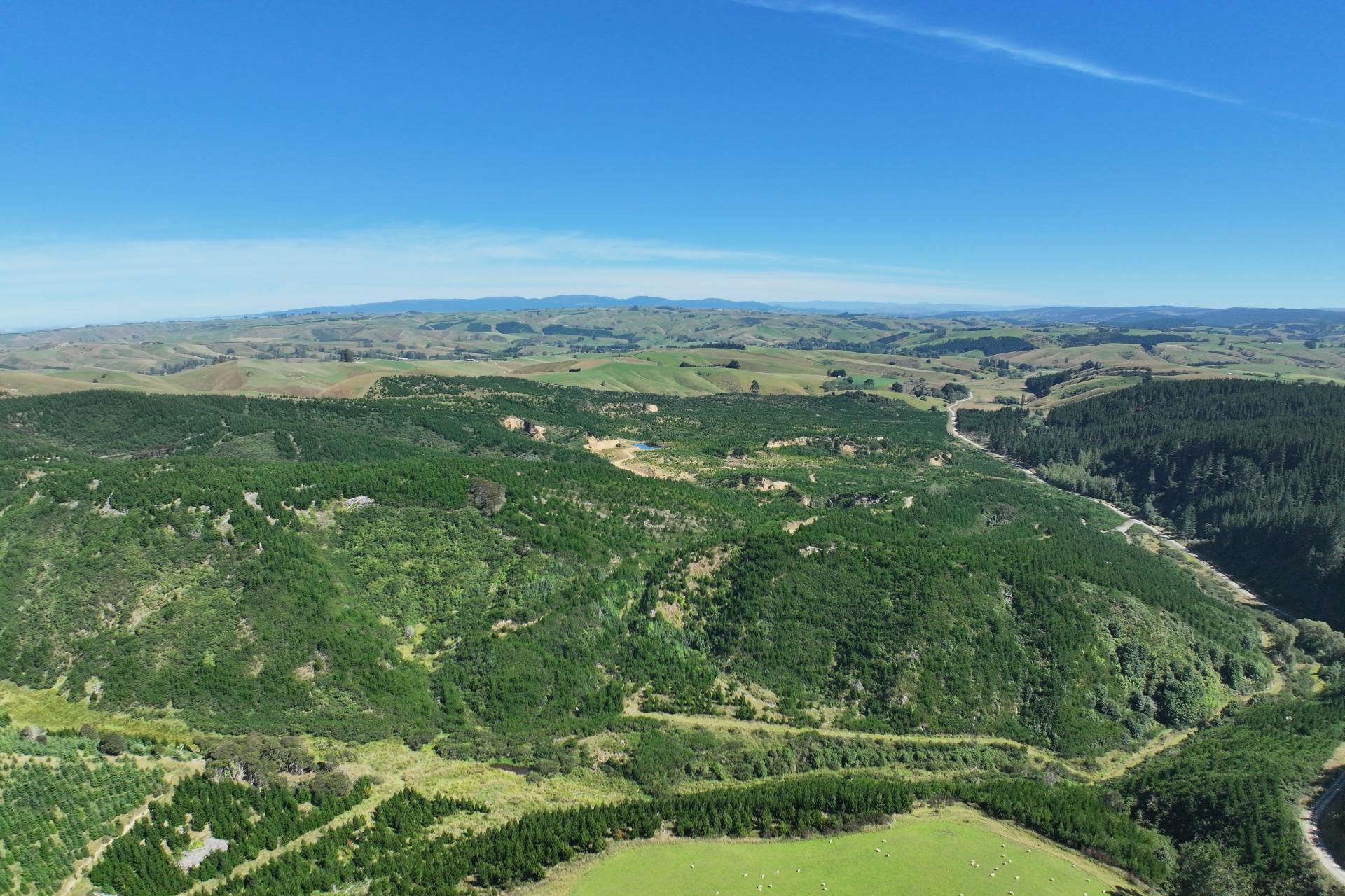 Waitahuna Gully Road, Waitahuna Gully