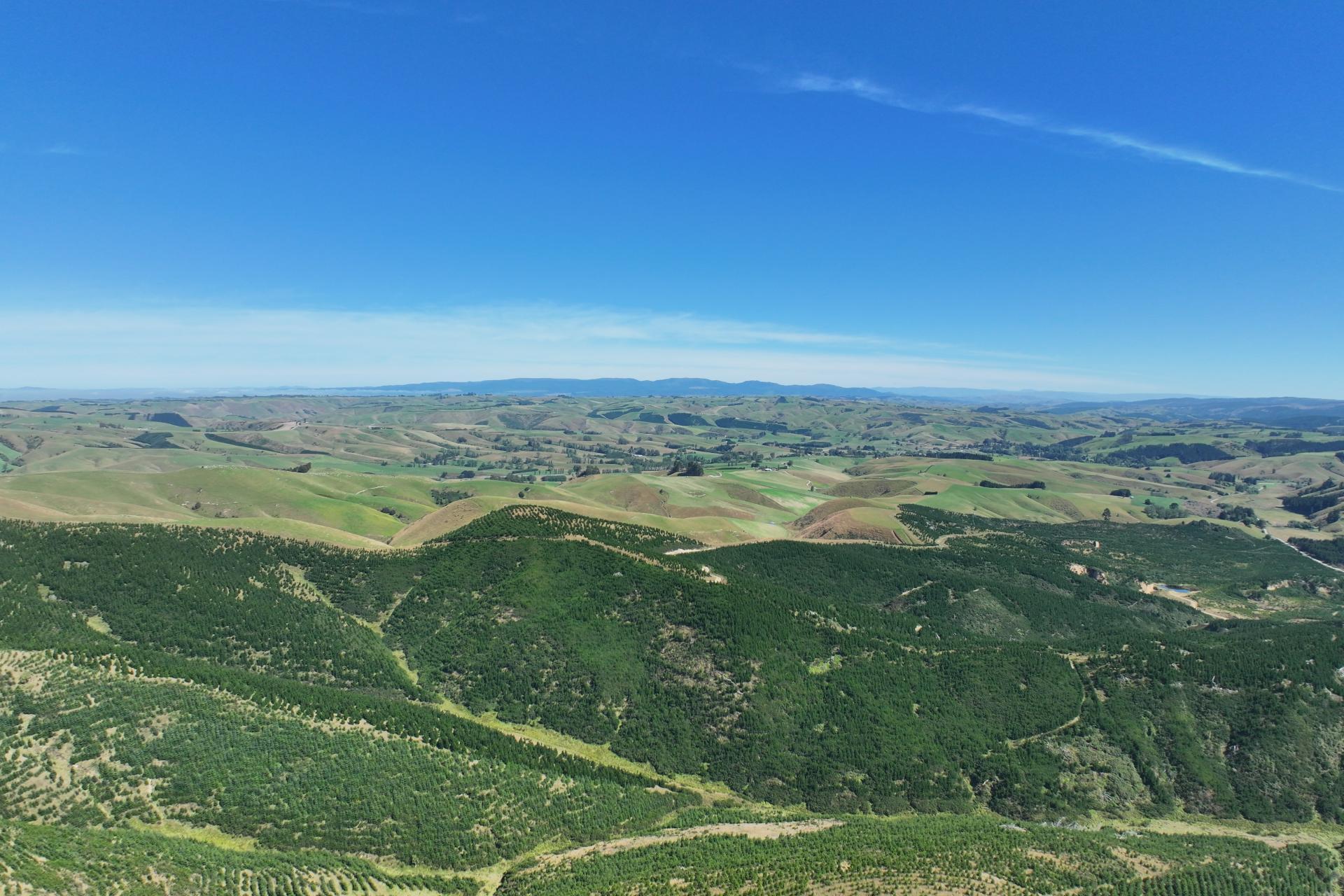 Waitahuna Gully Road, Waitahuna Gully