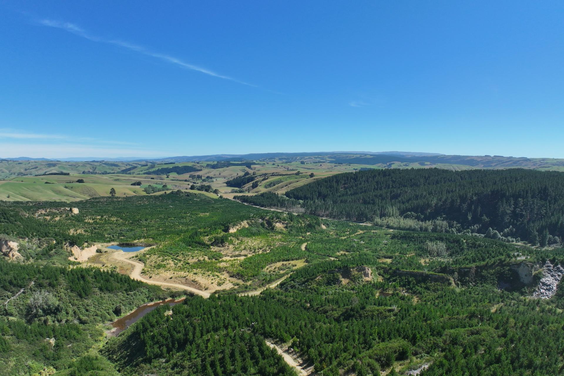 Waitahuna Gully Road, Waitahuna Gully