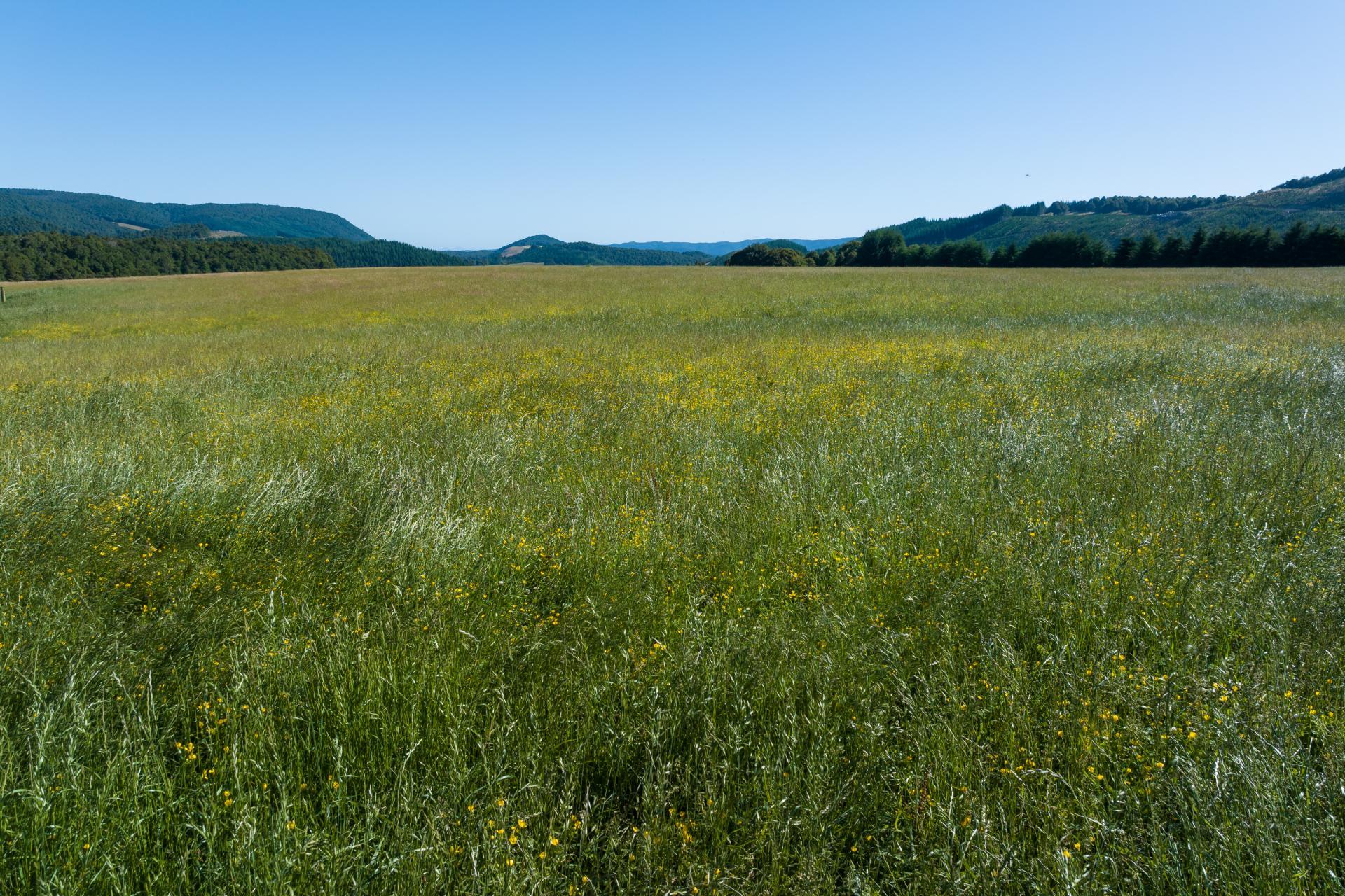 990 Howard Valley Road, Howard