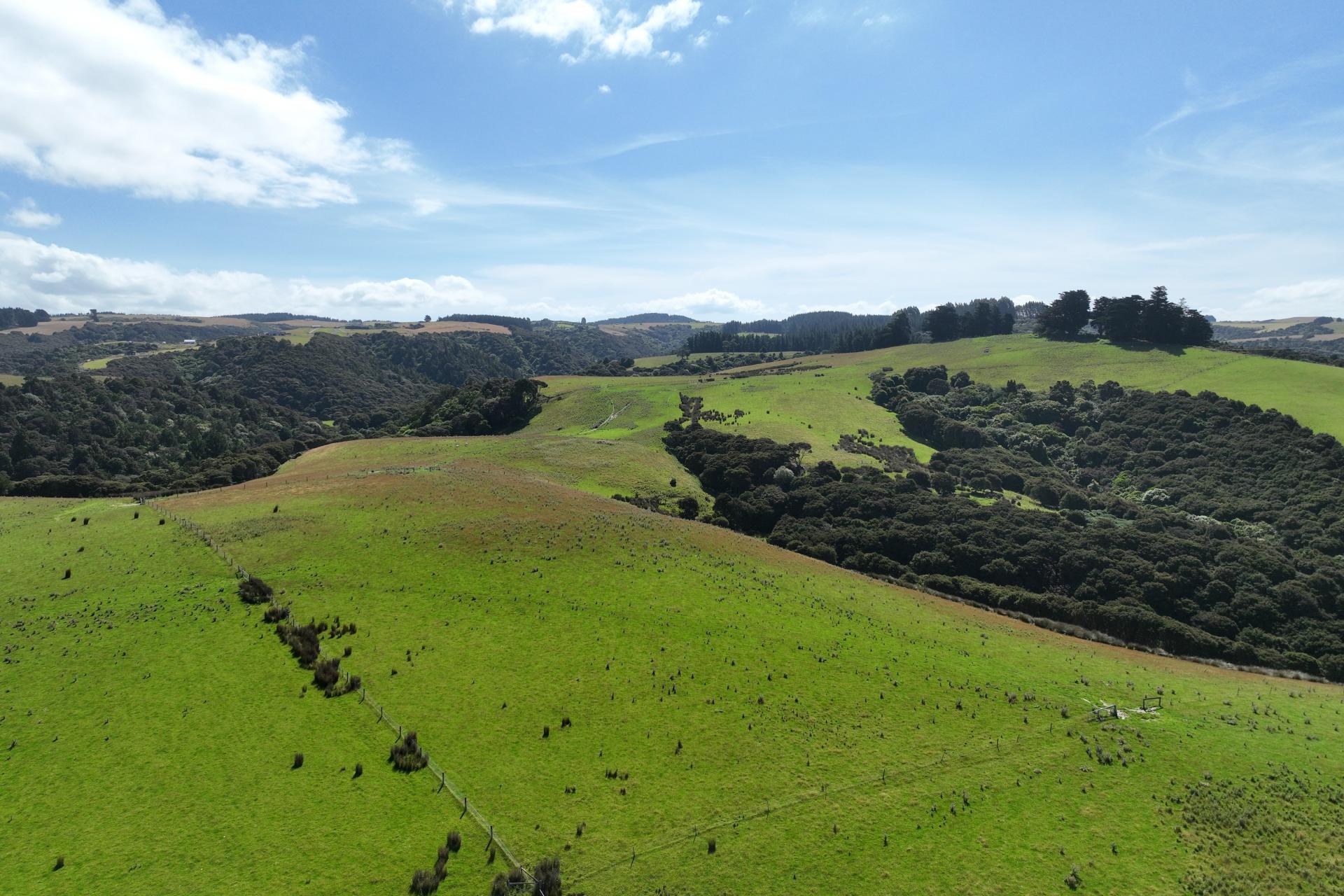 125 Sawmill Road, Taieri Beach