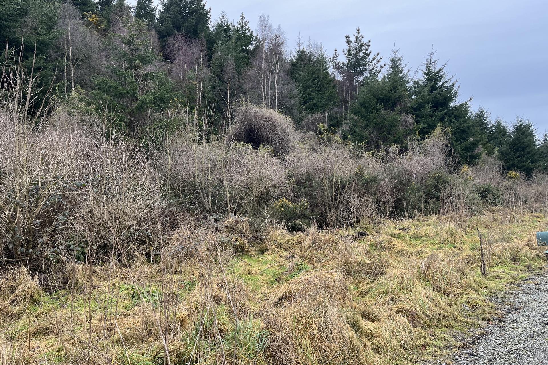 Breakneck Road, Herbert