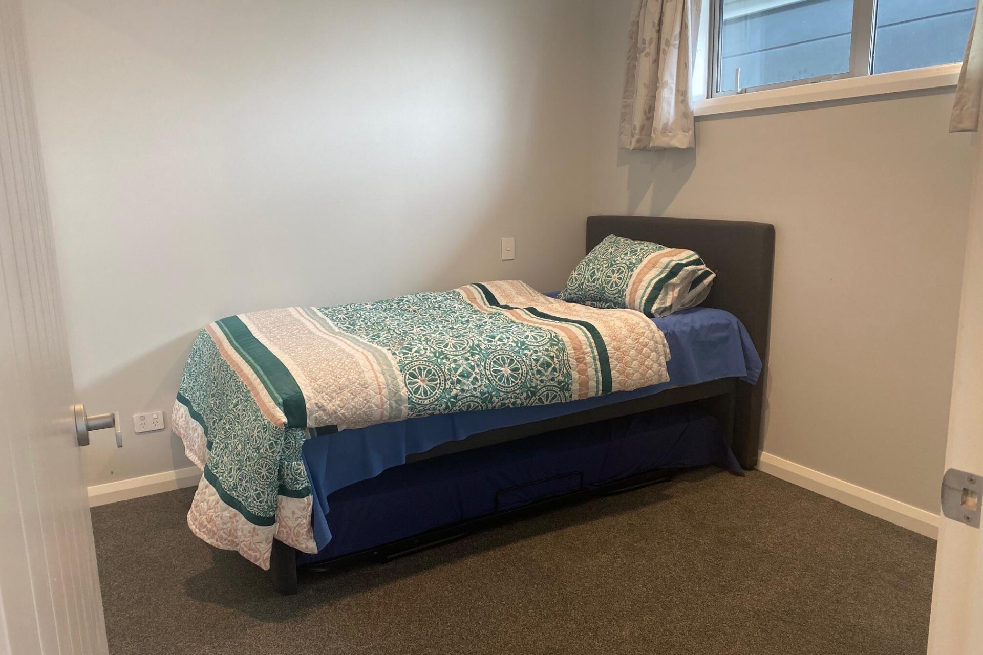 111 Thomson Street, Tinwald