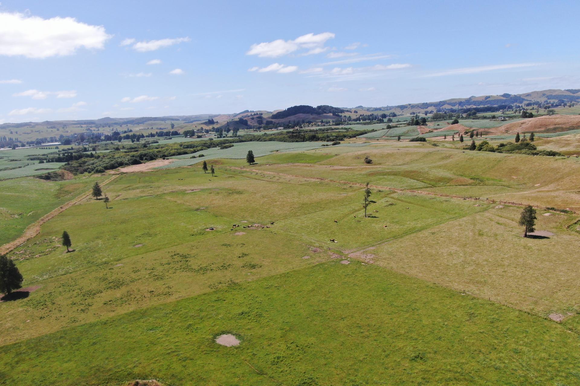 Kahuwera Road, Piopio