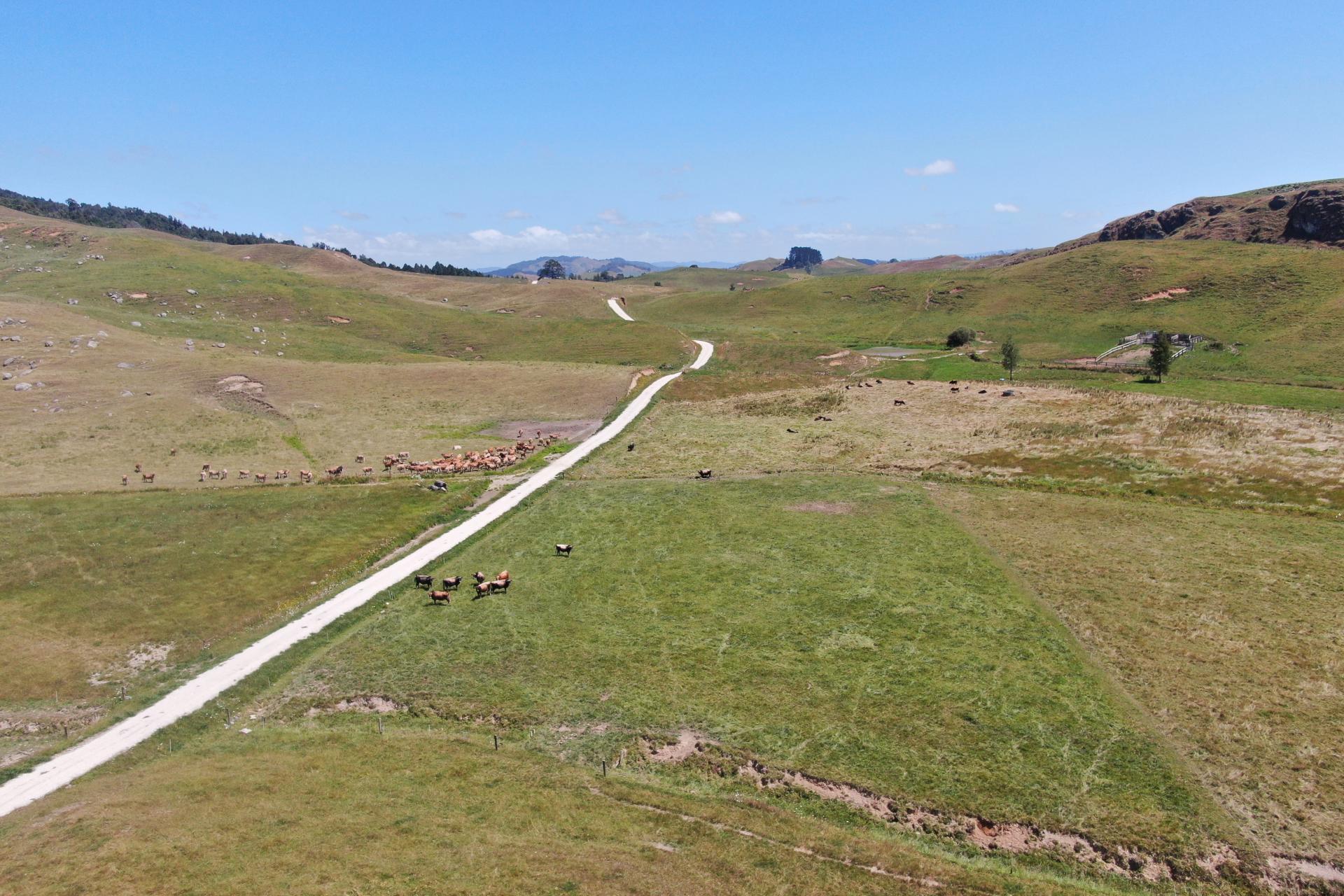 Kahuwera Road, Piopio