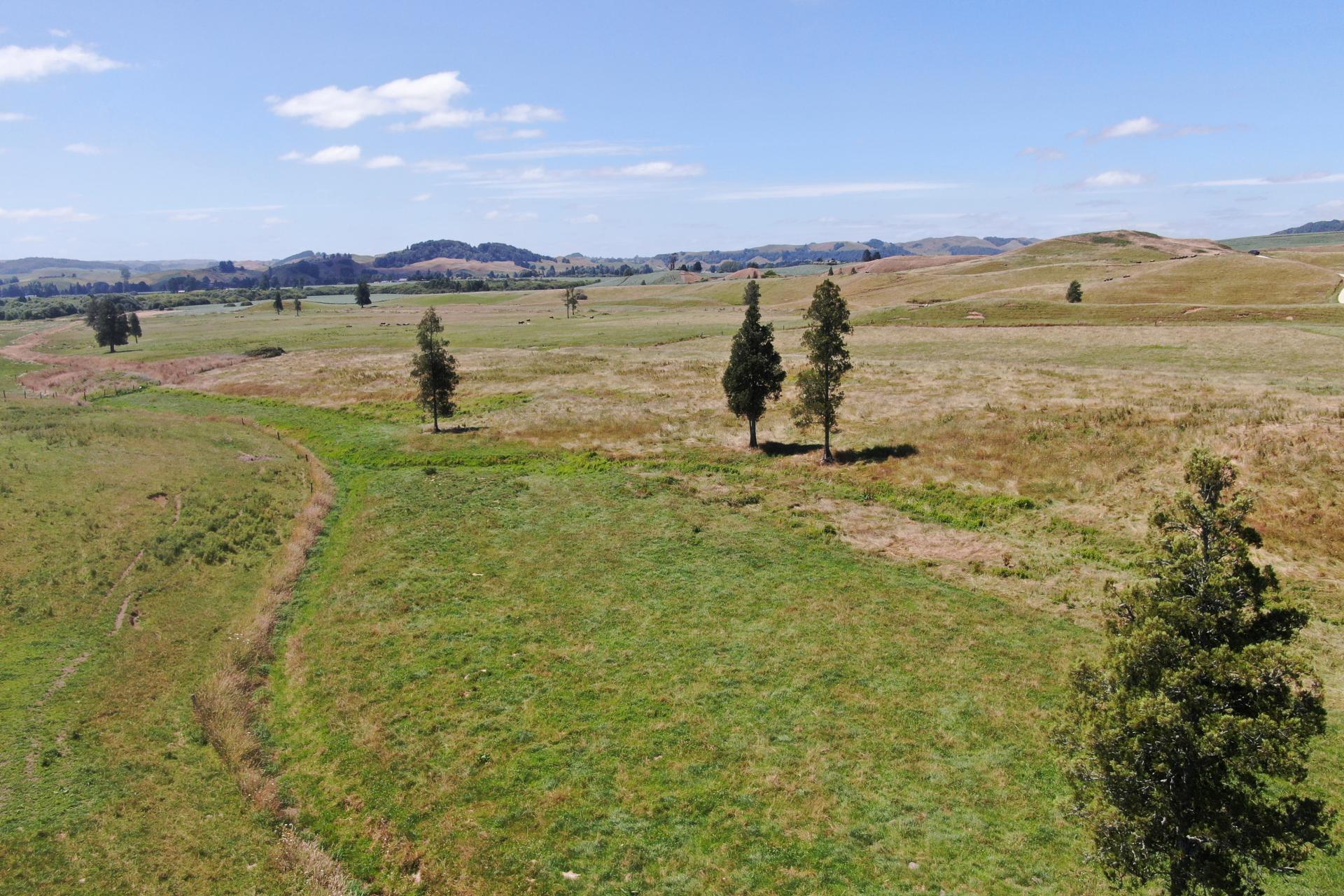 Kahuwera Road, Piopio