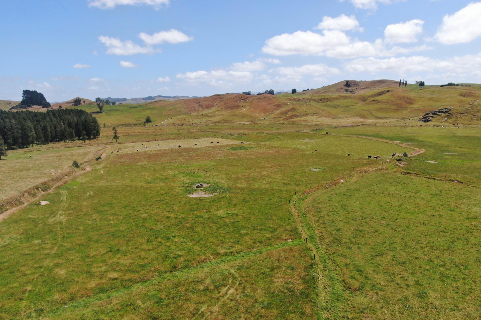 Kahuwera Road, Piopio