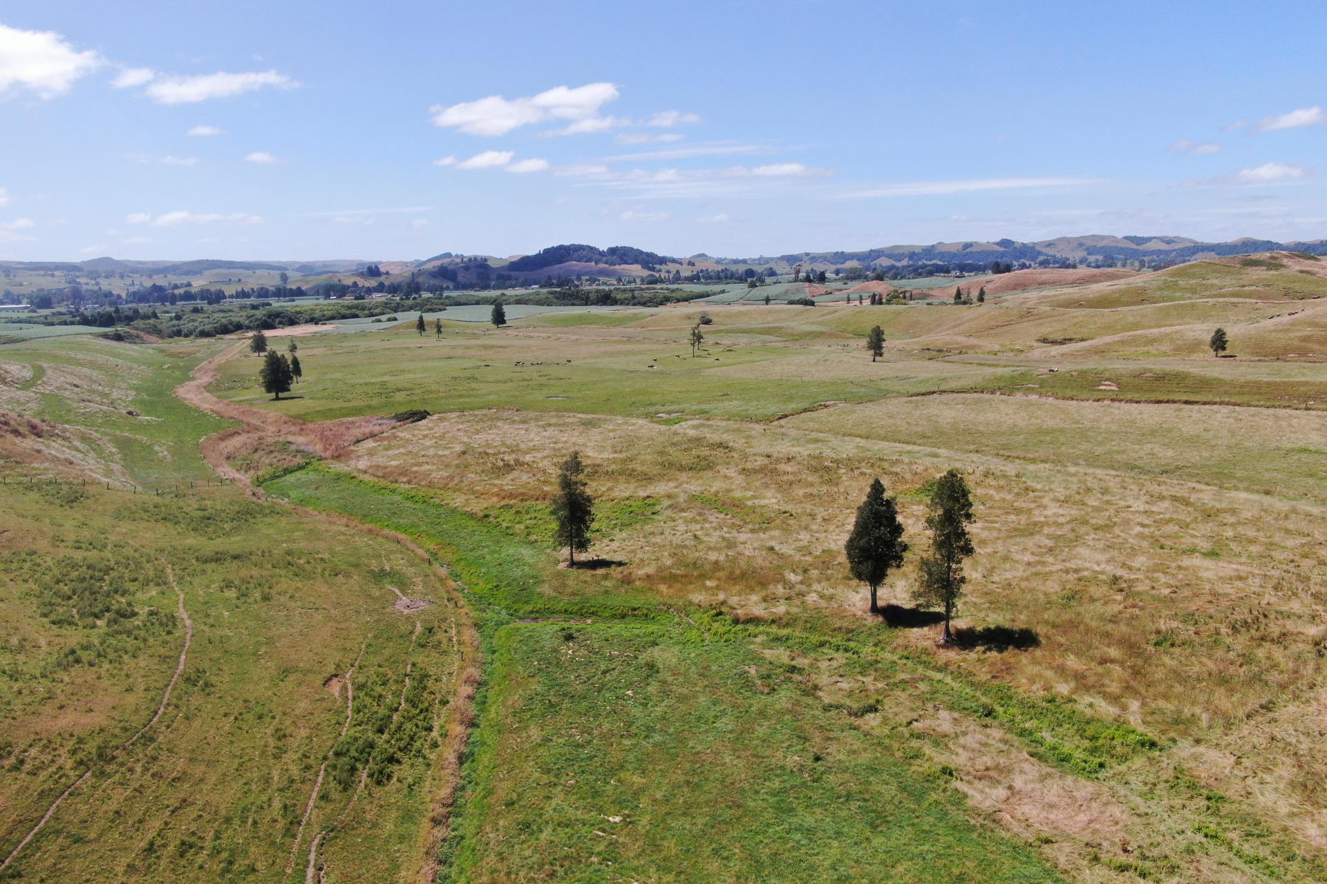 Kahuwera Road, Piopio
