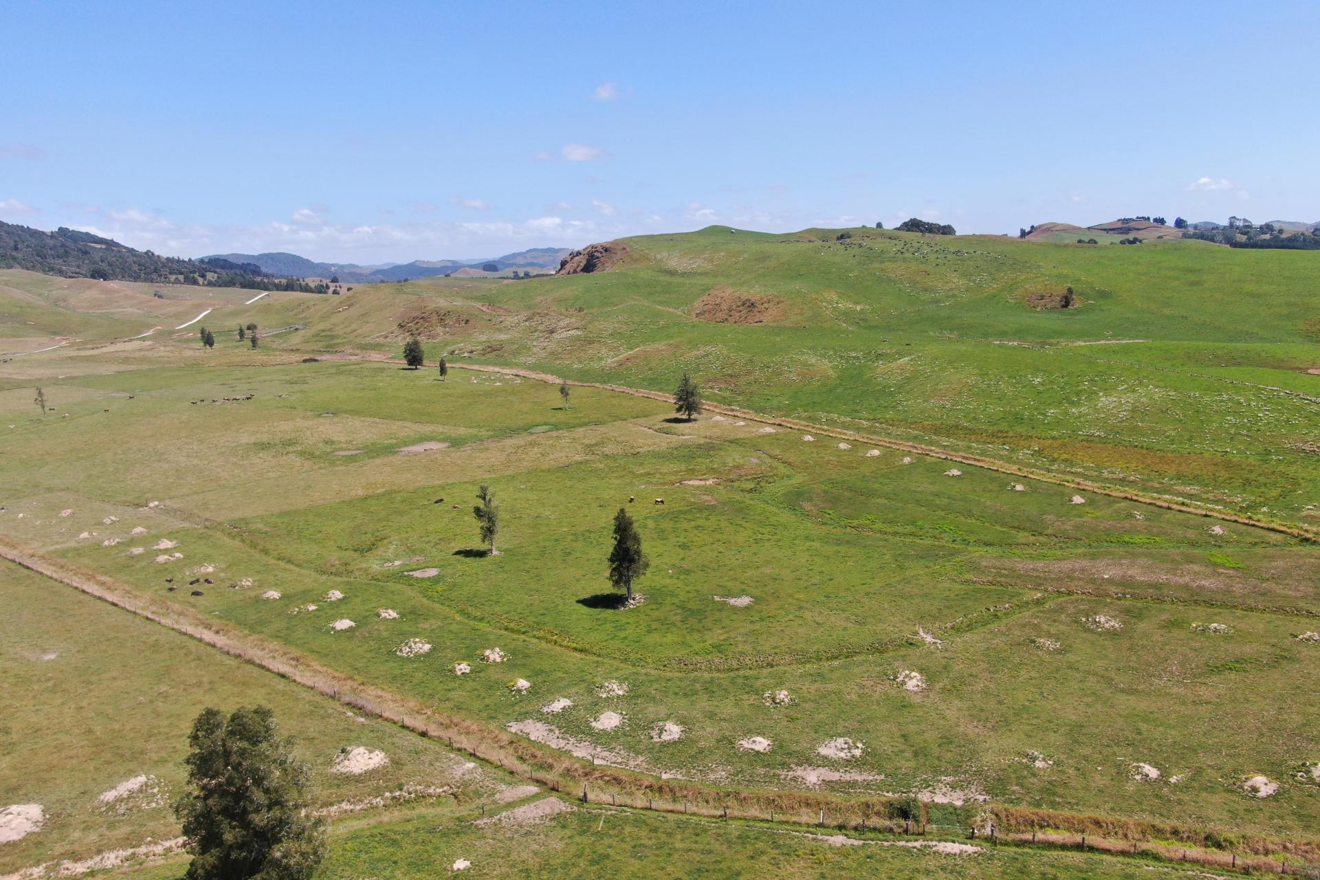 Kahuwera Road, Piopio