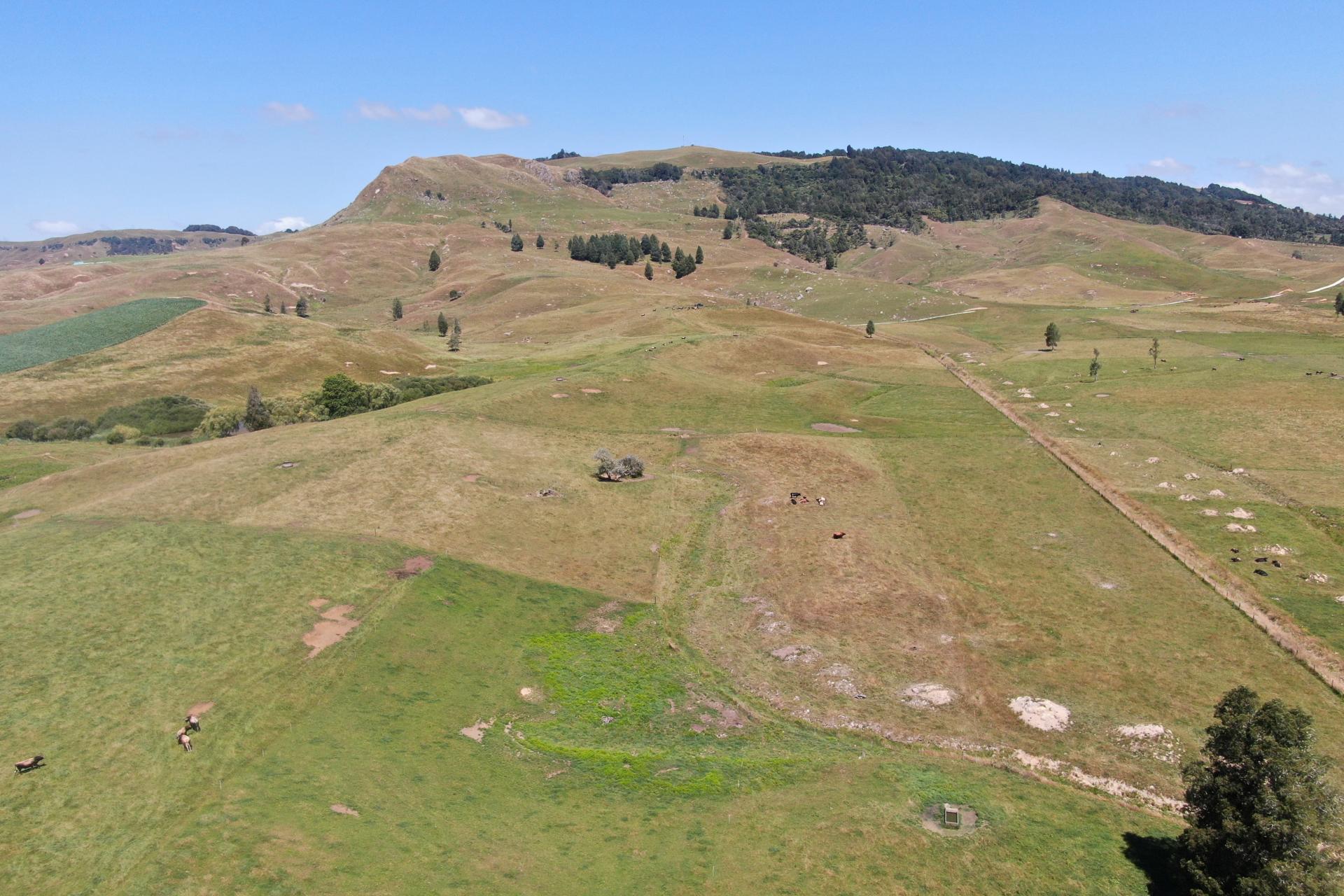 Kahuwera Road, Piopio