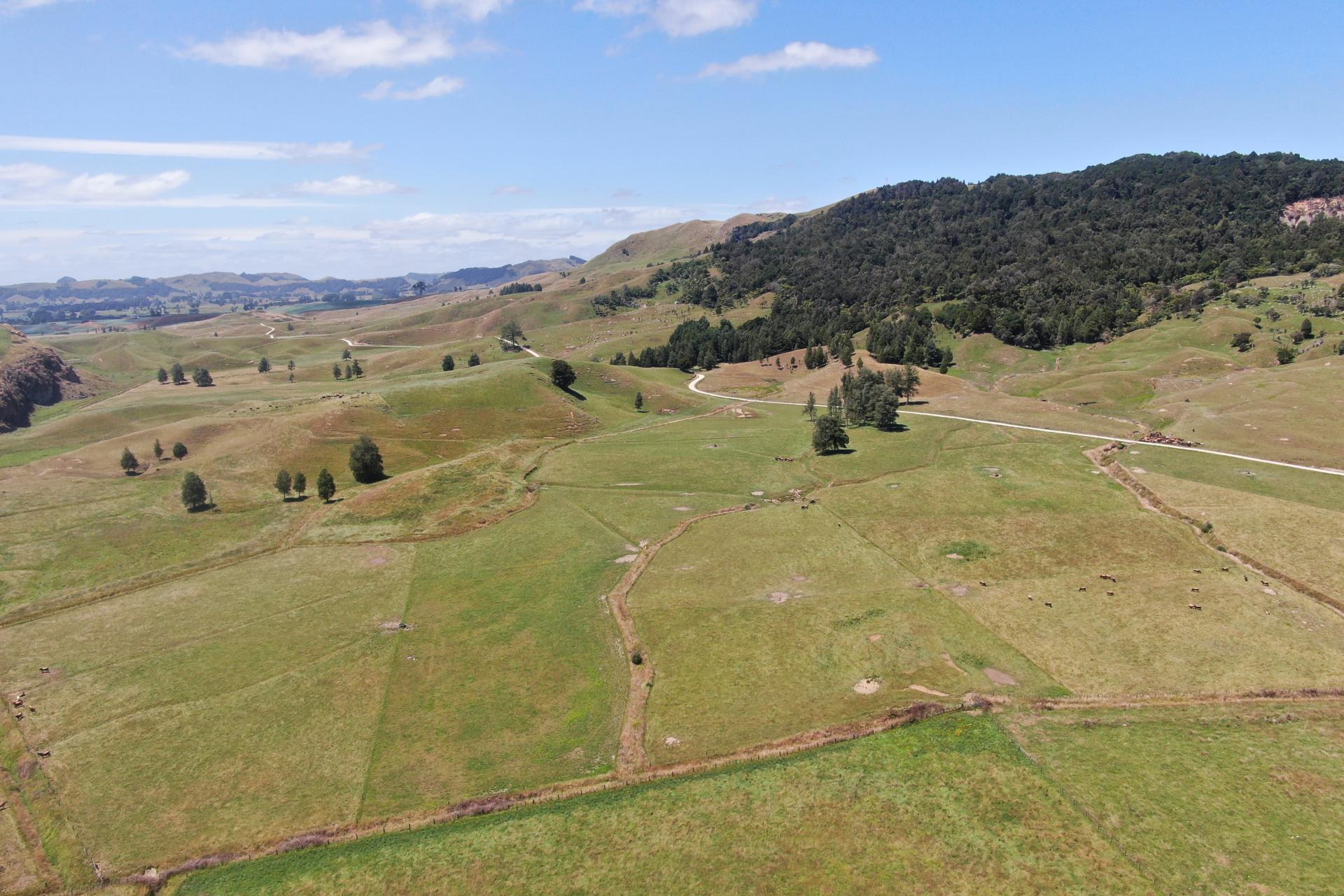 Kahuwera Road, Piopio