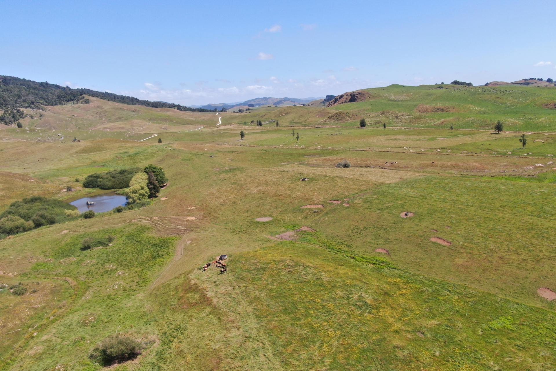 Kahuwera Road, Piopio