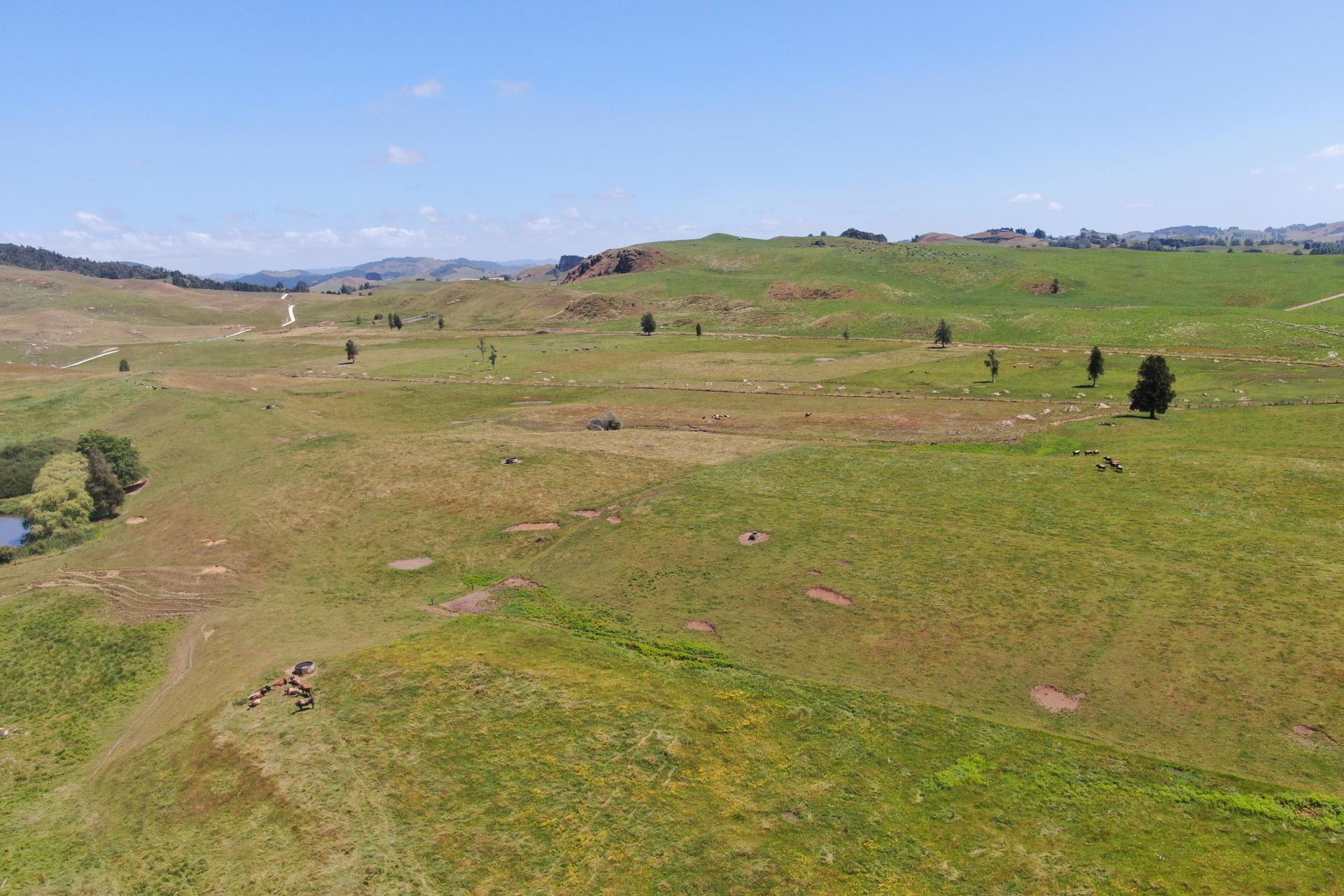 Kahuwera Road, Piopio