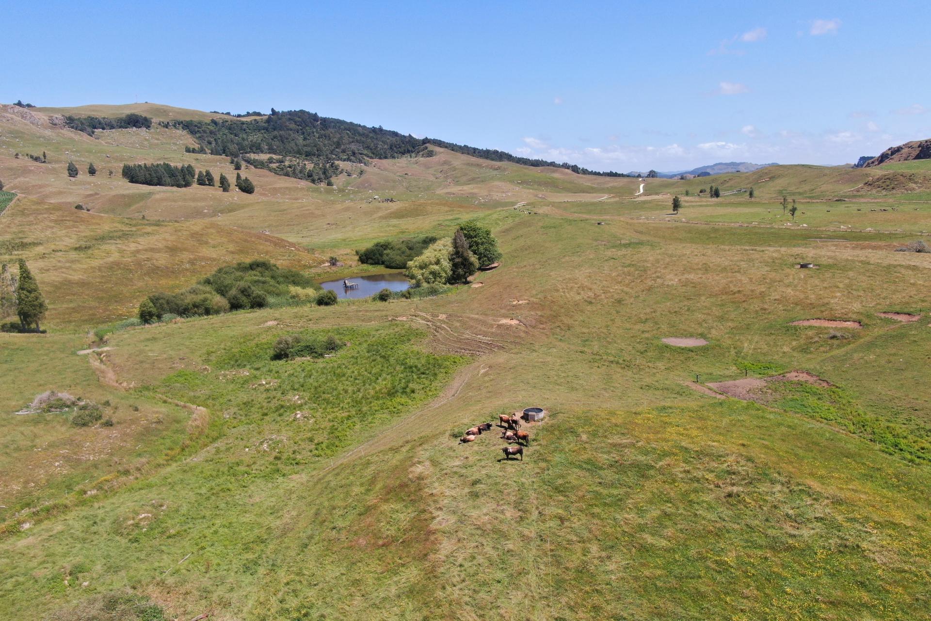 Kahuwera Road, Piopio