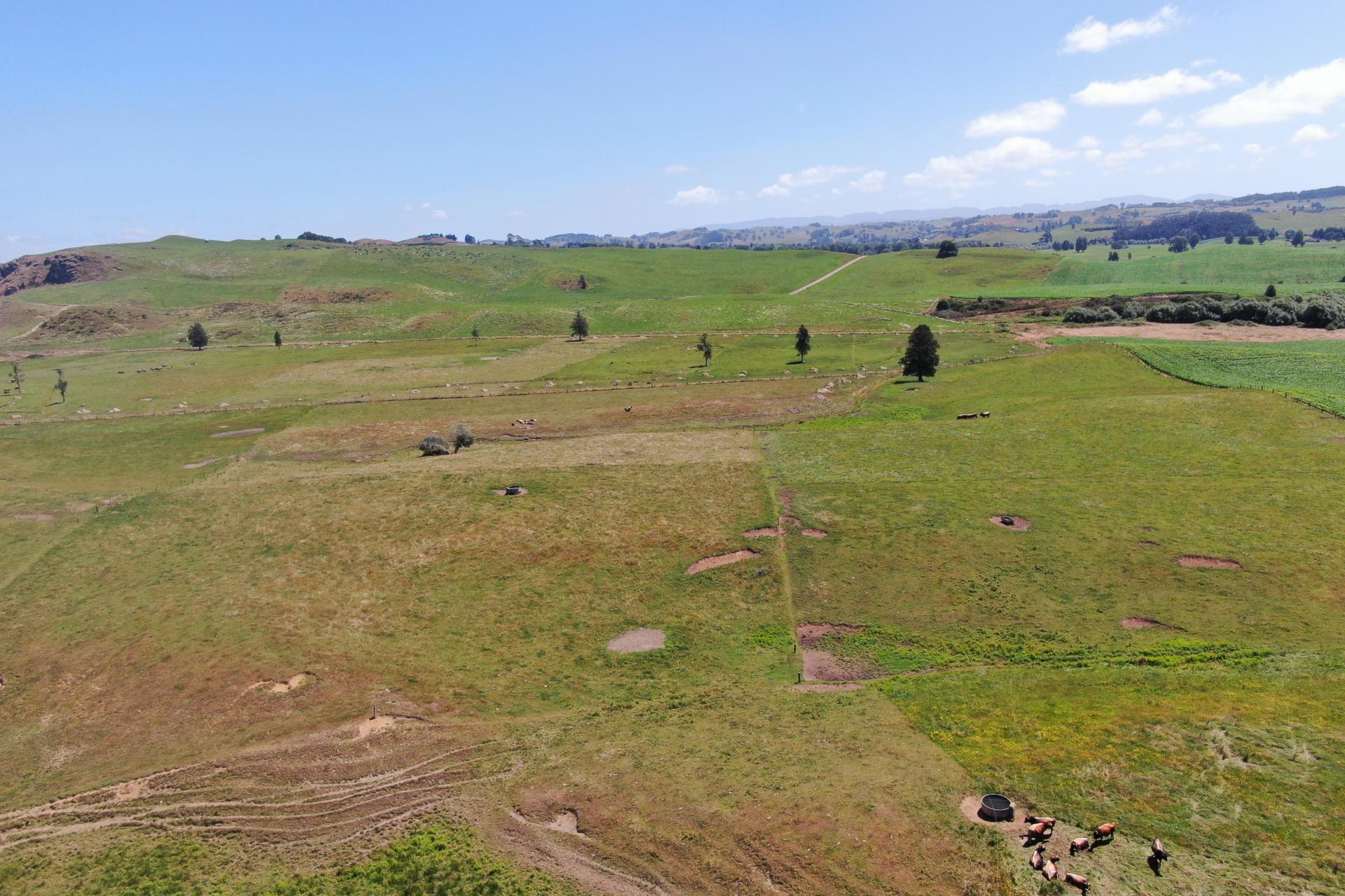 Kahuwera Road, Piopio