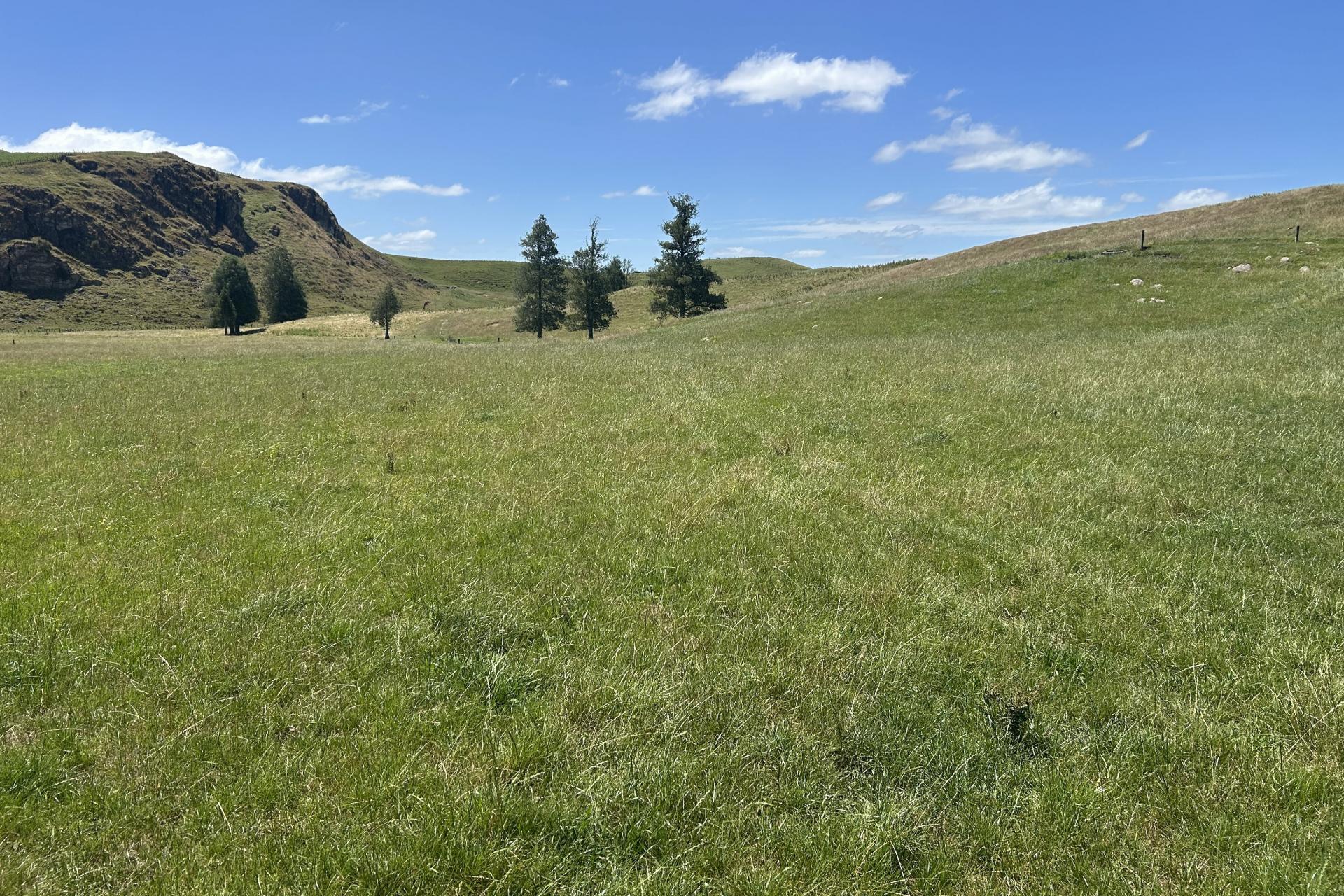 Kahuwera Road, Piopio