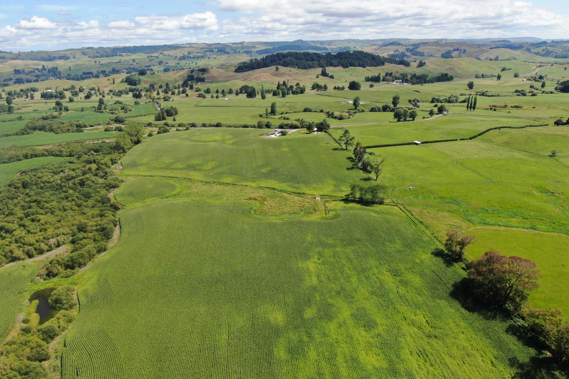37 Napinapi Road, Te Mapara
