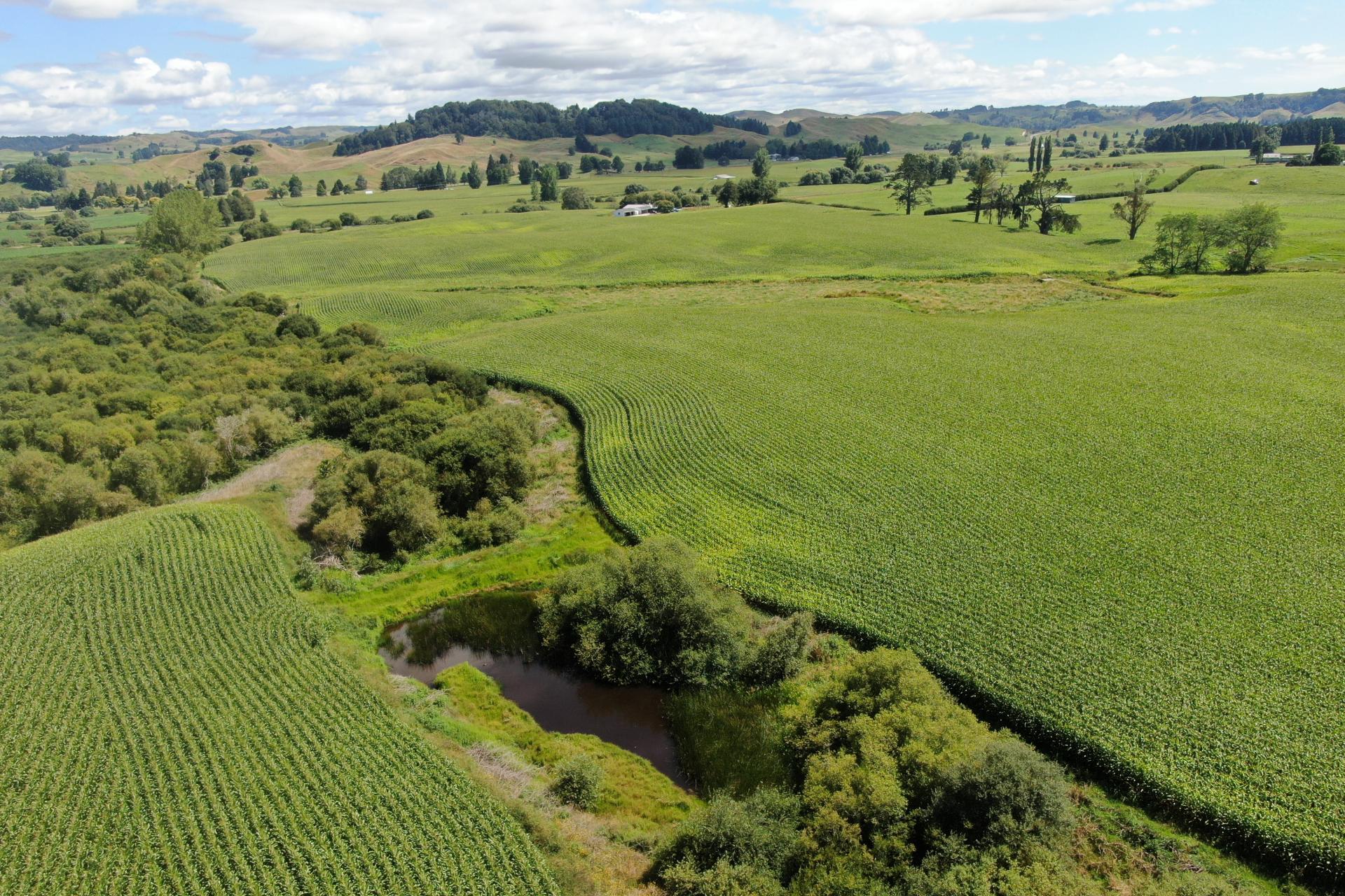 37 Napinapi Road, Te Mapara