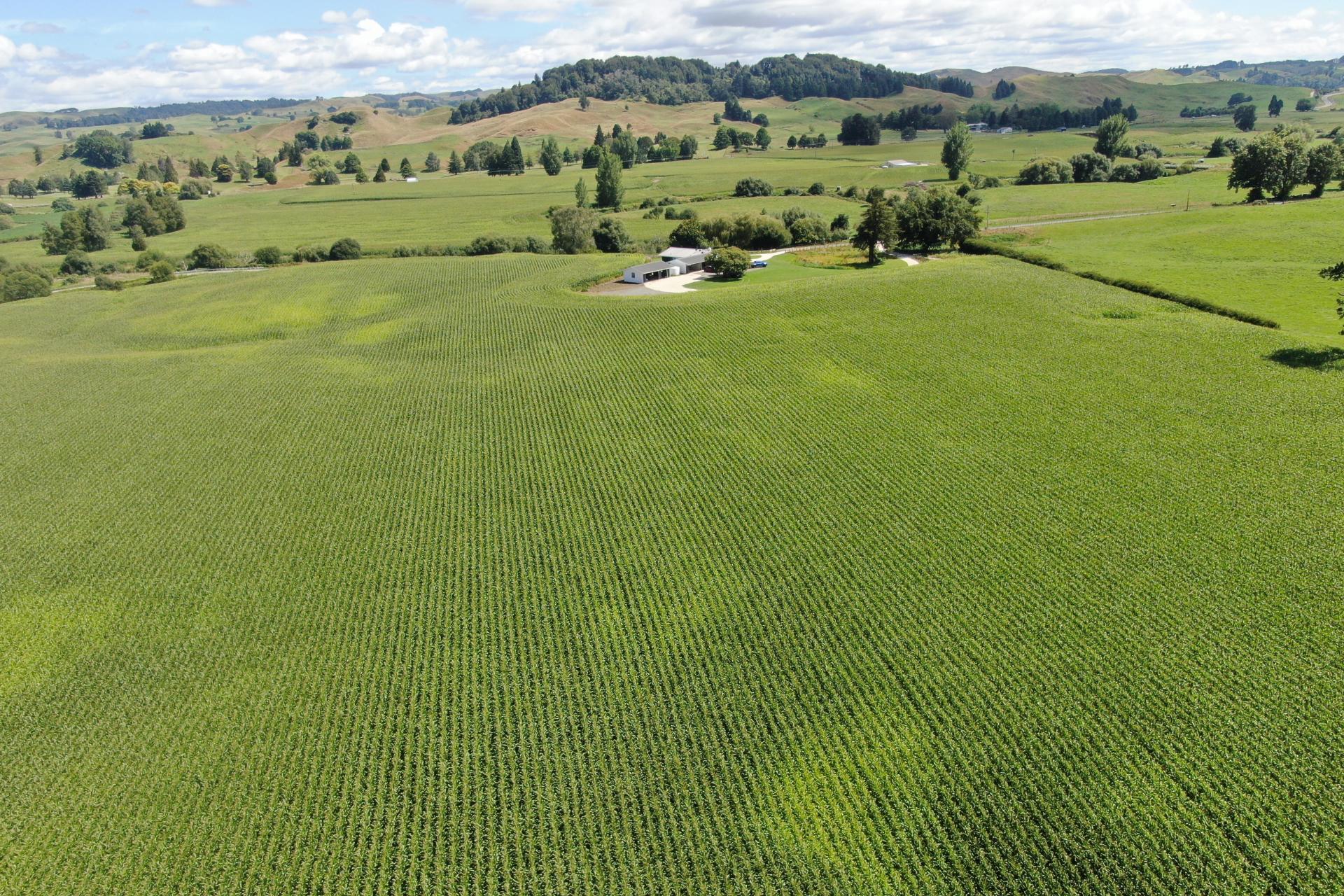 37 Napinapi Road, Te Mapara