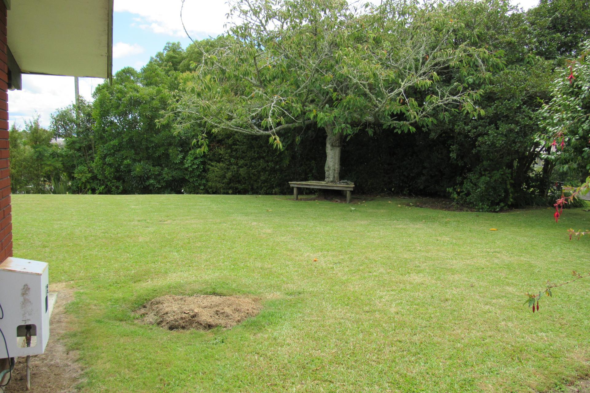 76 North Street, Morrinsville