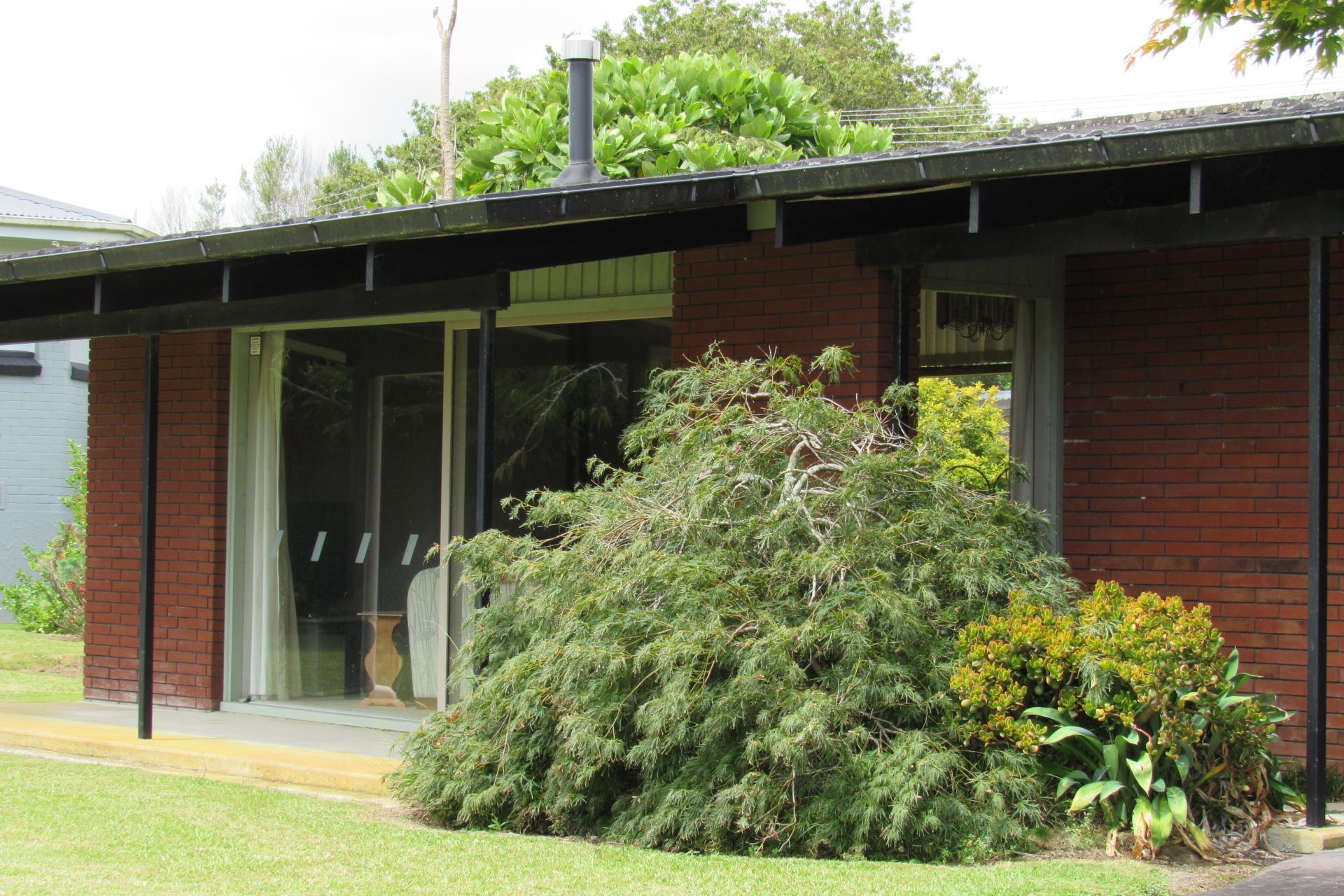 76 North Street, Morrinsville