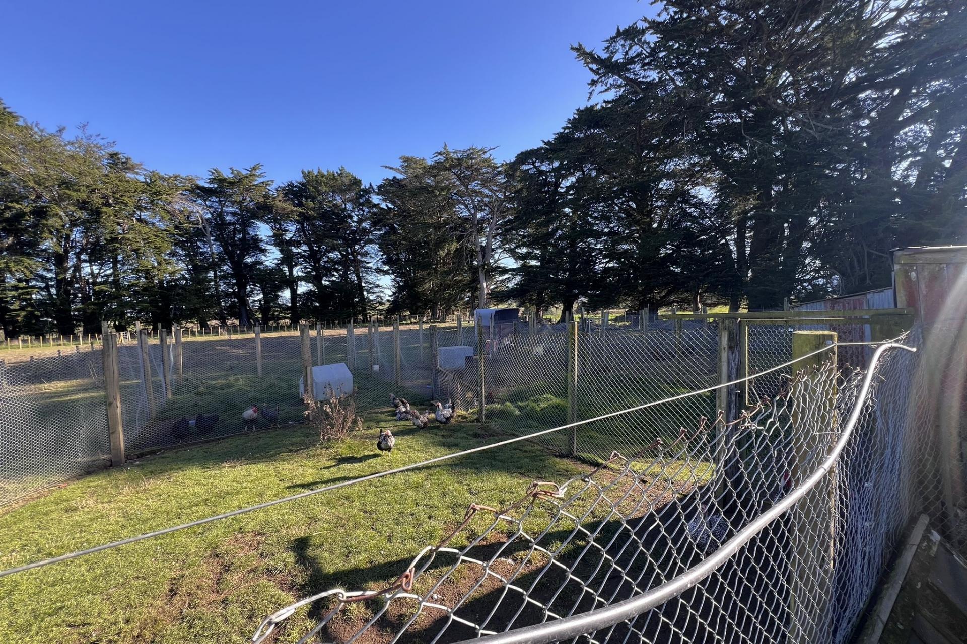 288 Garfield Road, Norsewood