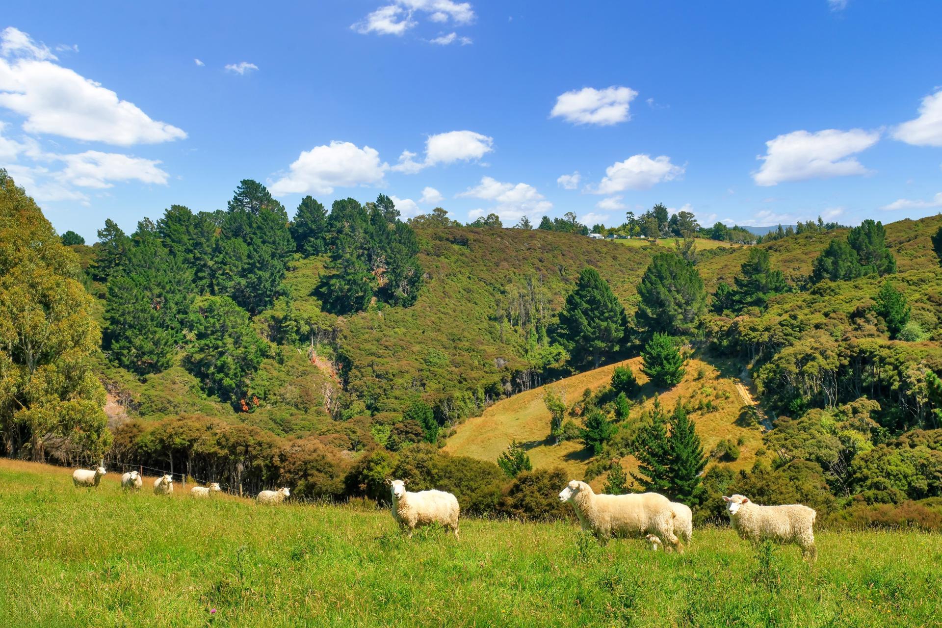 270 Chain Hills Road, Chain Hills