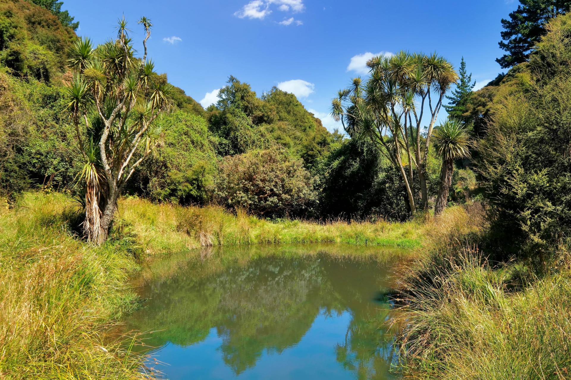 270 Chain Hills Road, Chain Hills