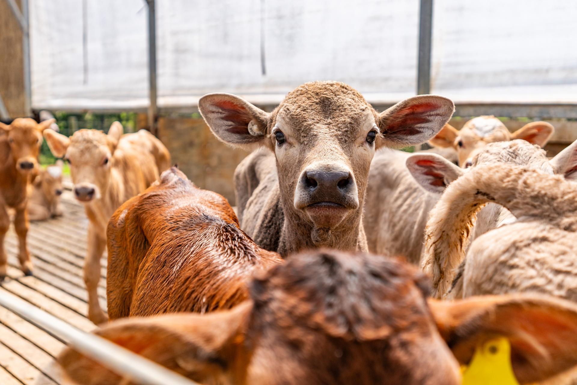 29 Keer Road, Dargaville