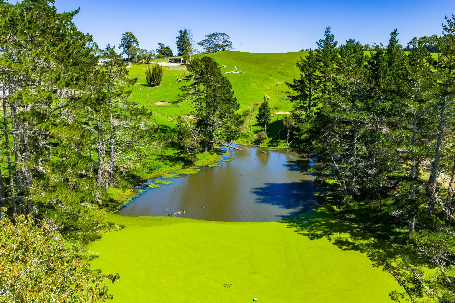 29 Keer Road, Dargaville