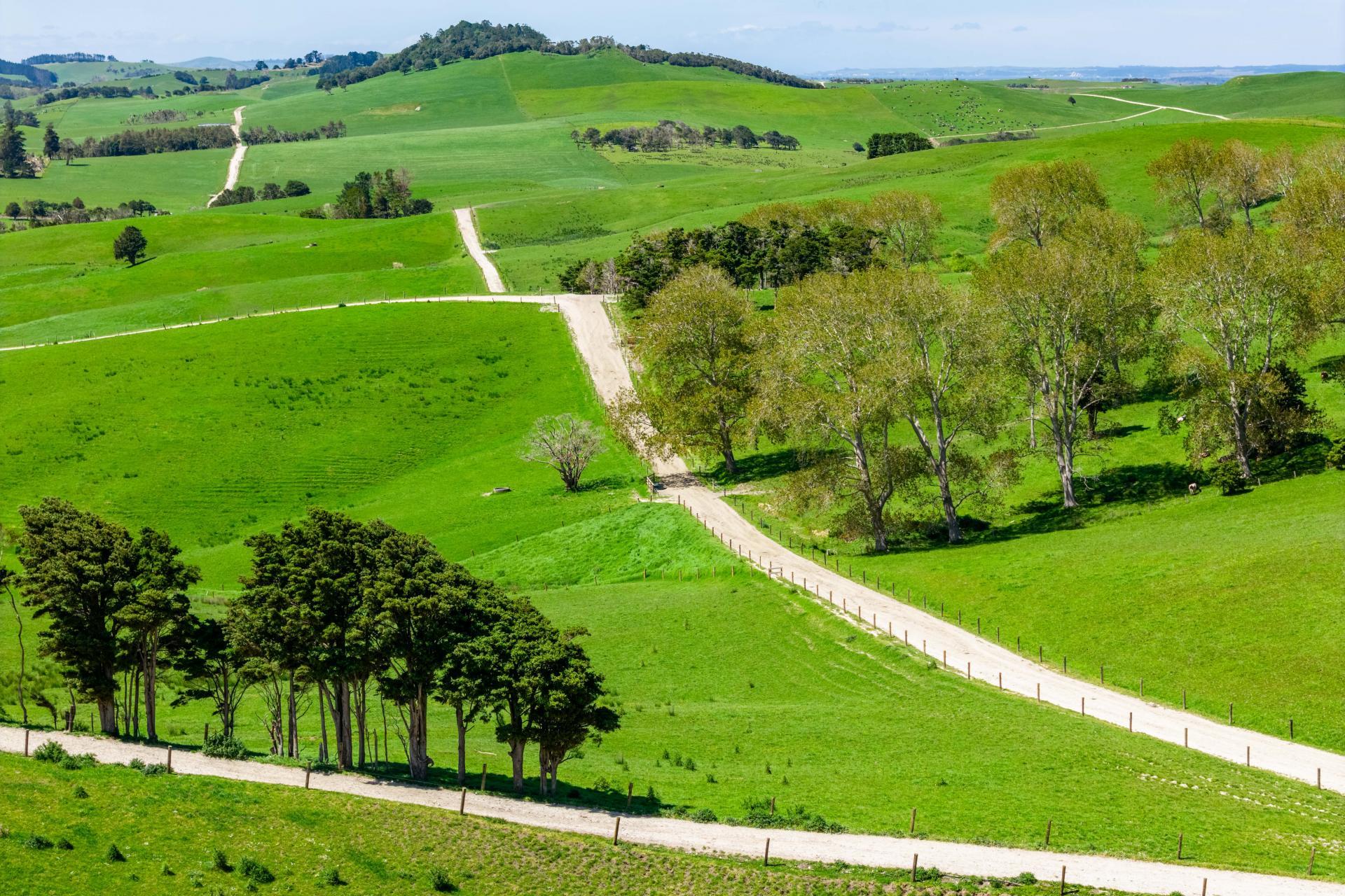 29 Keer Road, Dargaville