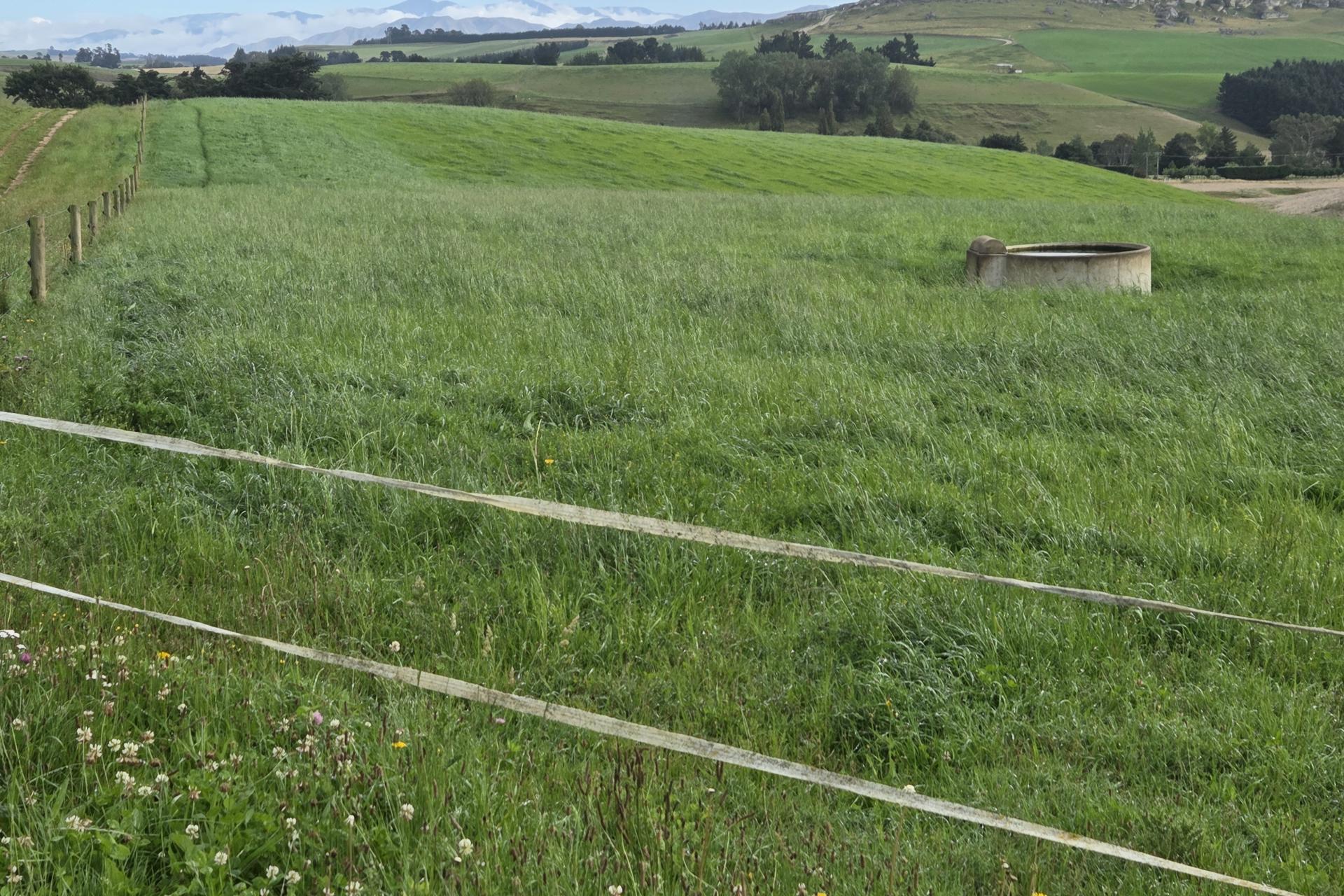 22 Tokarahi-Duntroon Road, Tokarahi