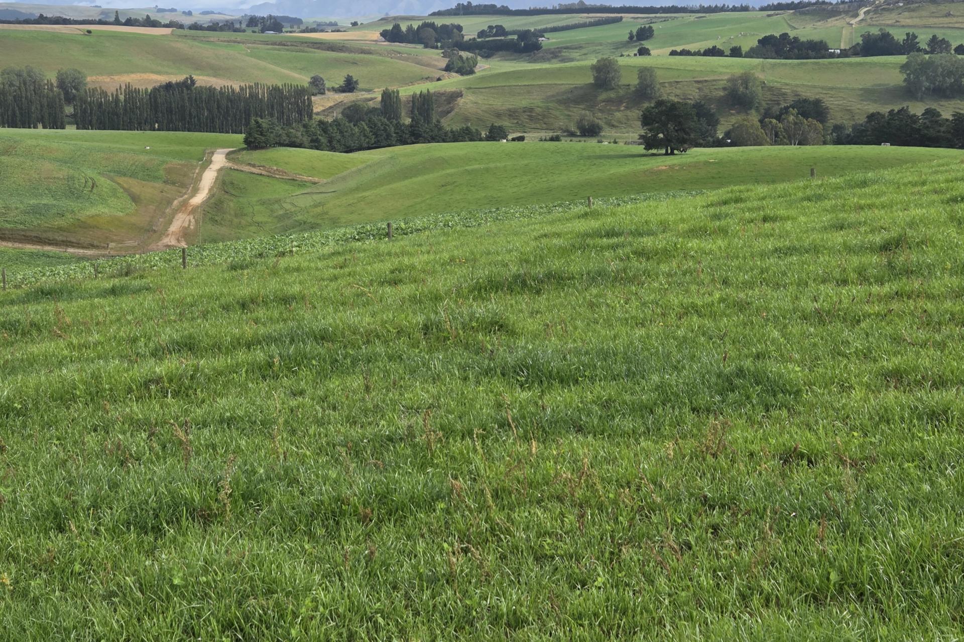 22 Tokarahi-Duntroon Road, Tokarahi