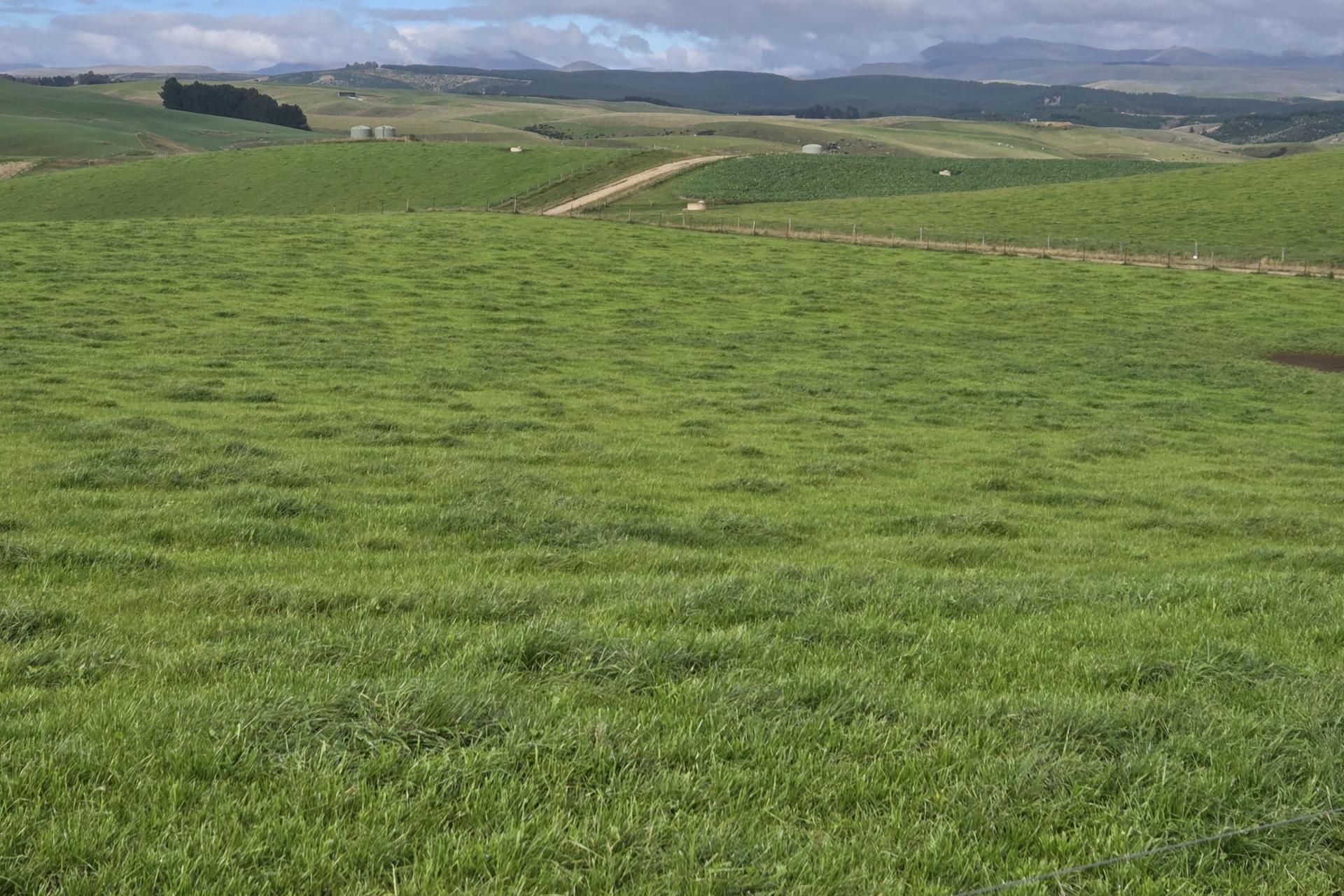 22 Tokarahi-Duntroon Road, Tokarahi