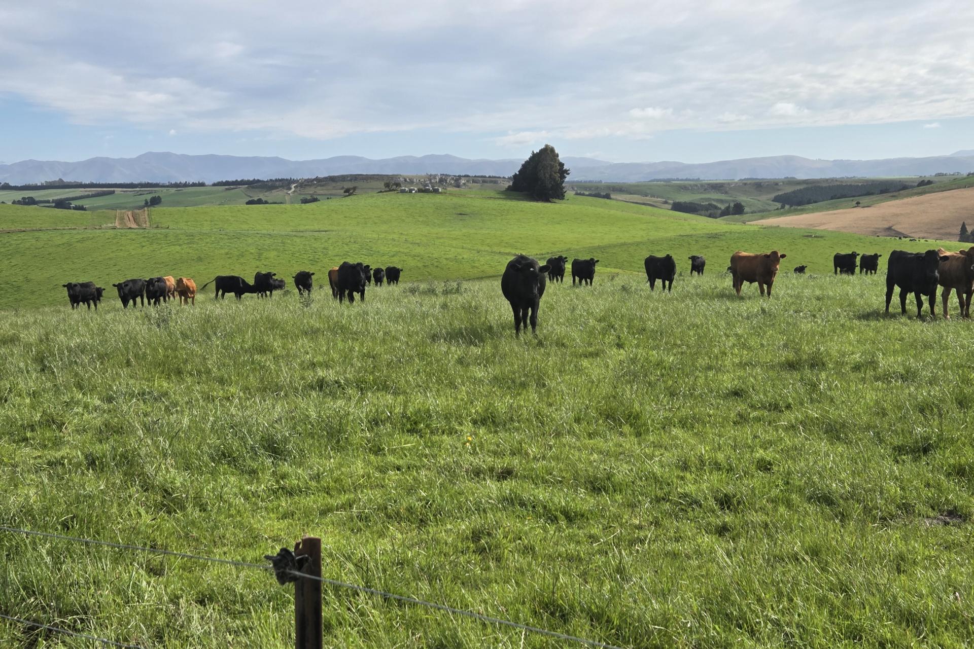 22 Tokarahi-Duntroon Road, Tokarahi