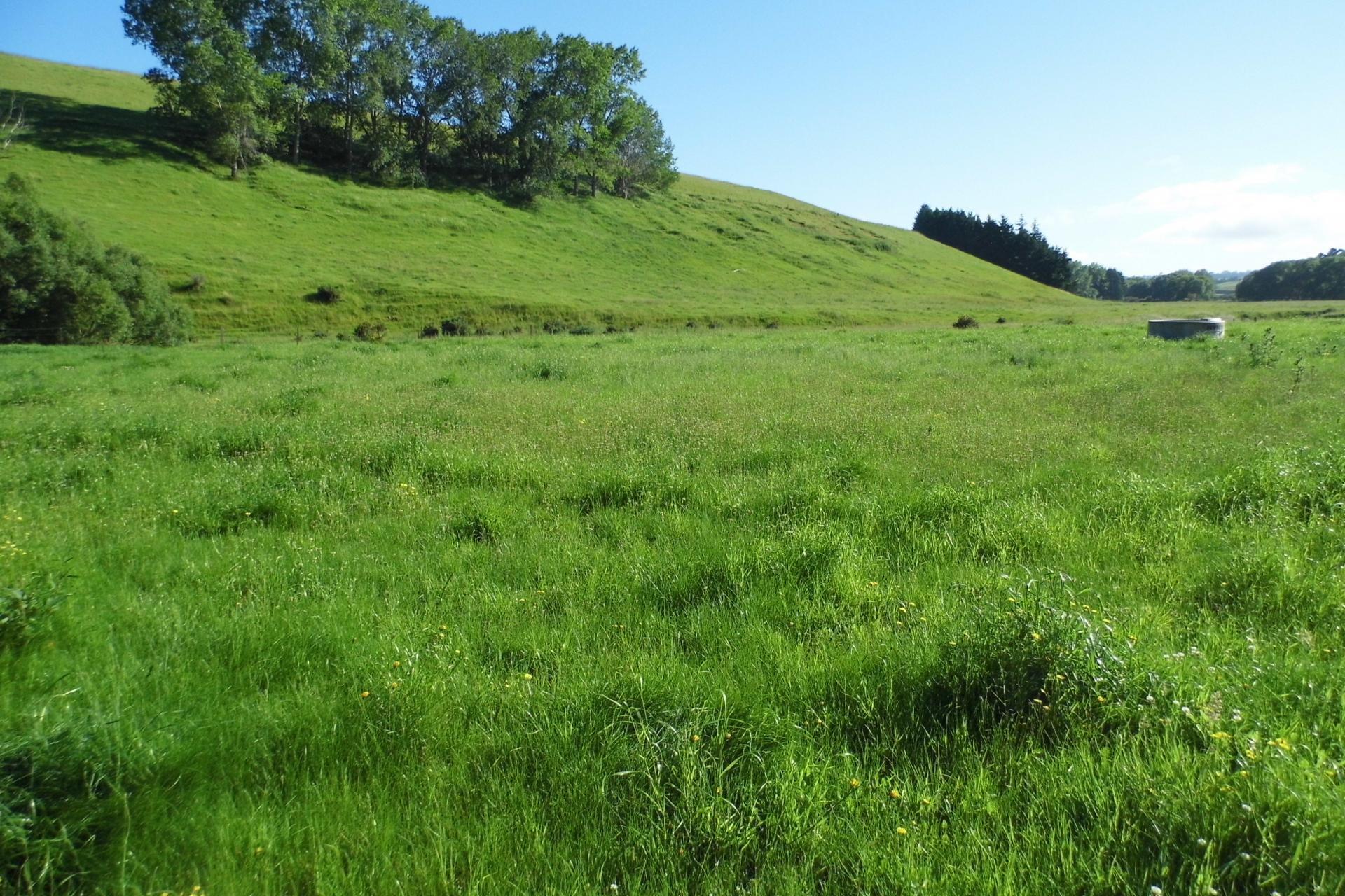 22 Tokarahi-Duntroon Road, Tokarahi