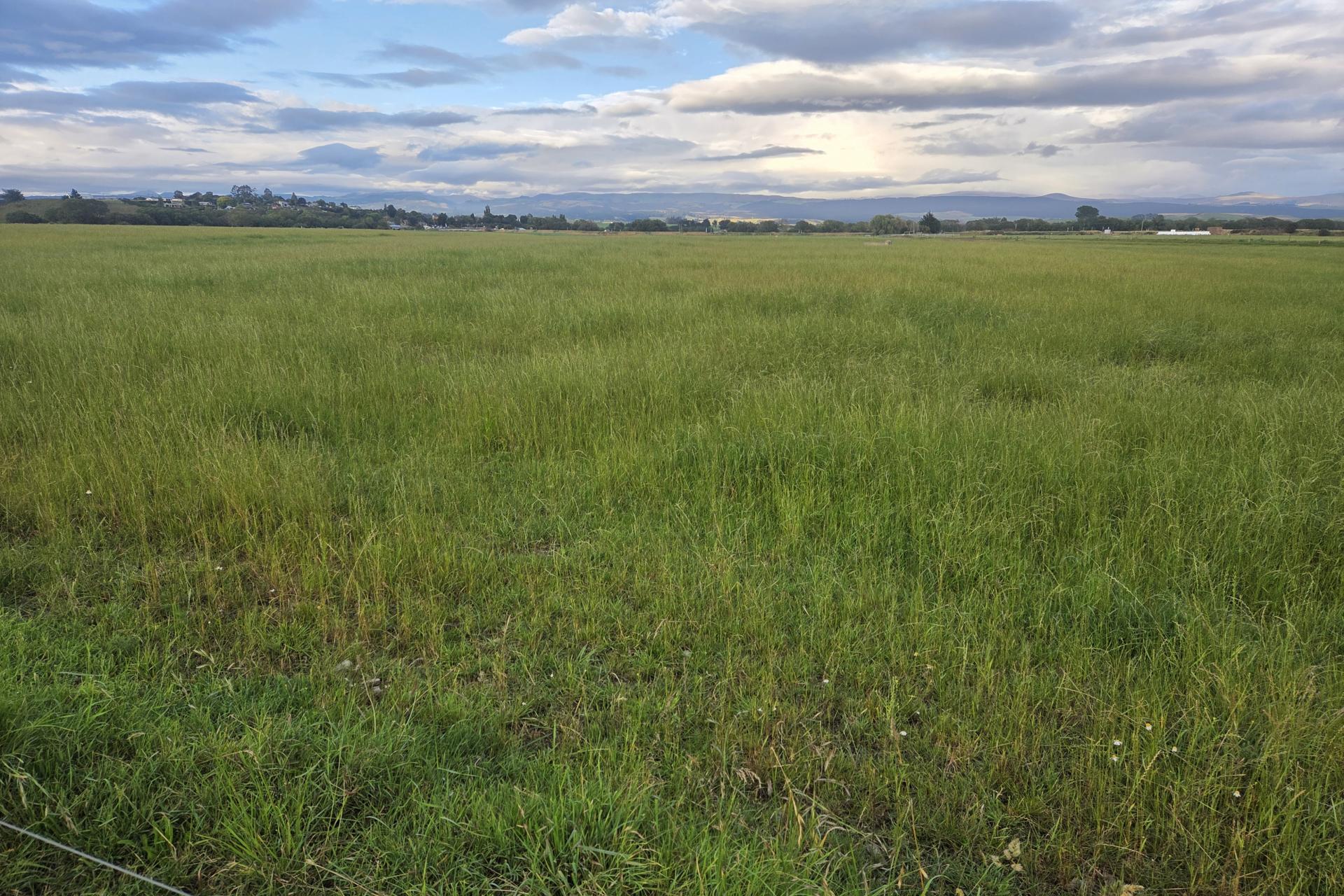 Alma-Maheno Road, Maheno