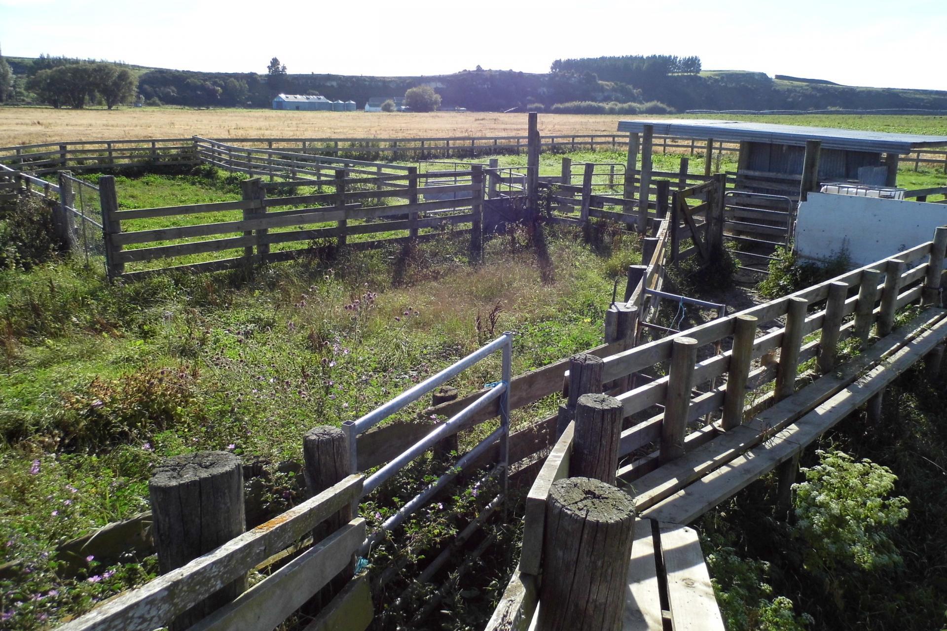 Alma-Maheno Road, Maheno