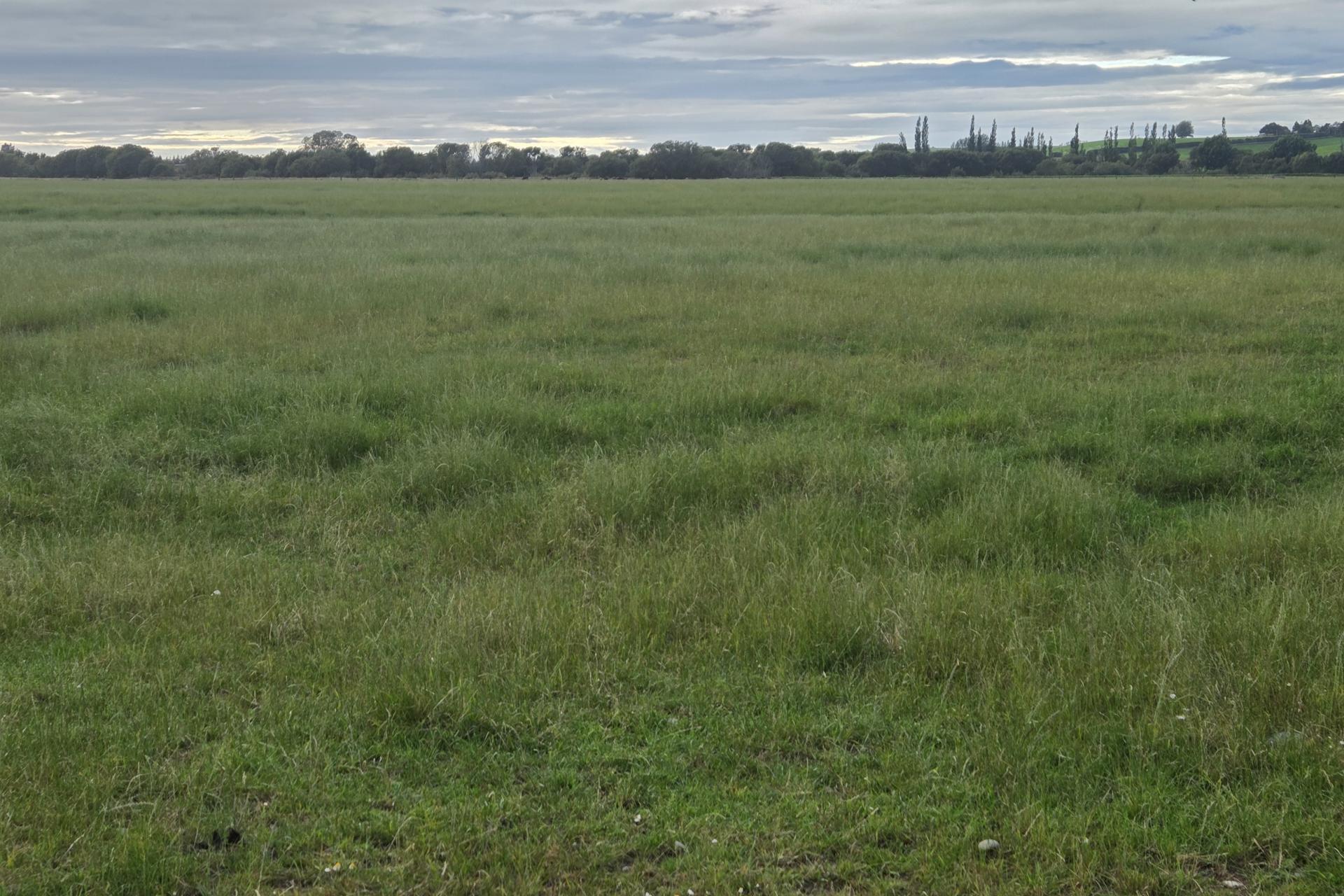 Alma-Maheno Road, Maheno