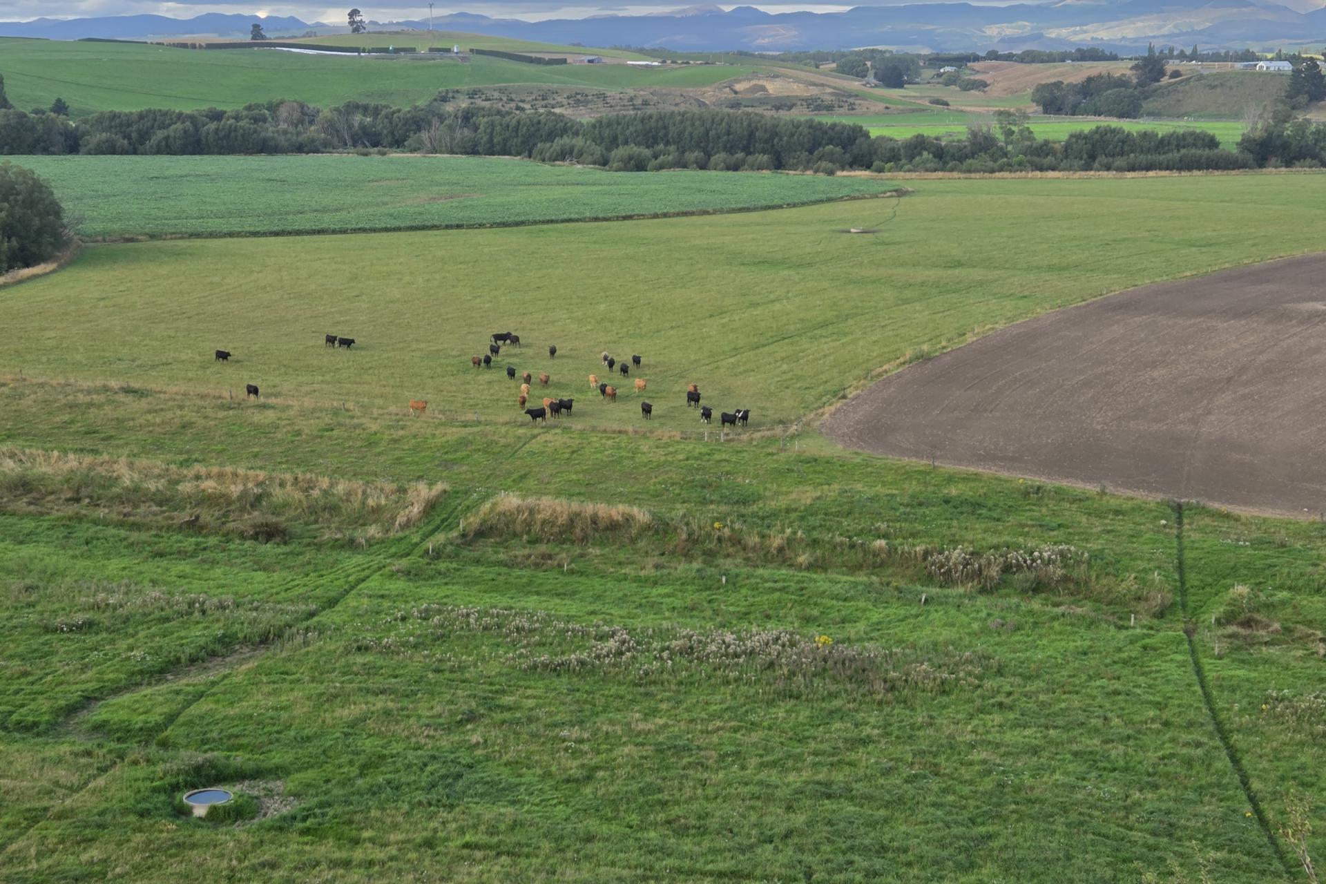 Alma-Maheno Road, Maheno