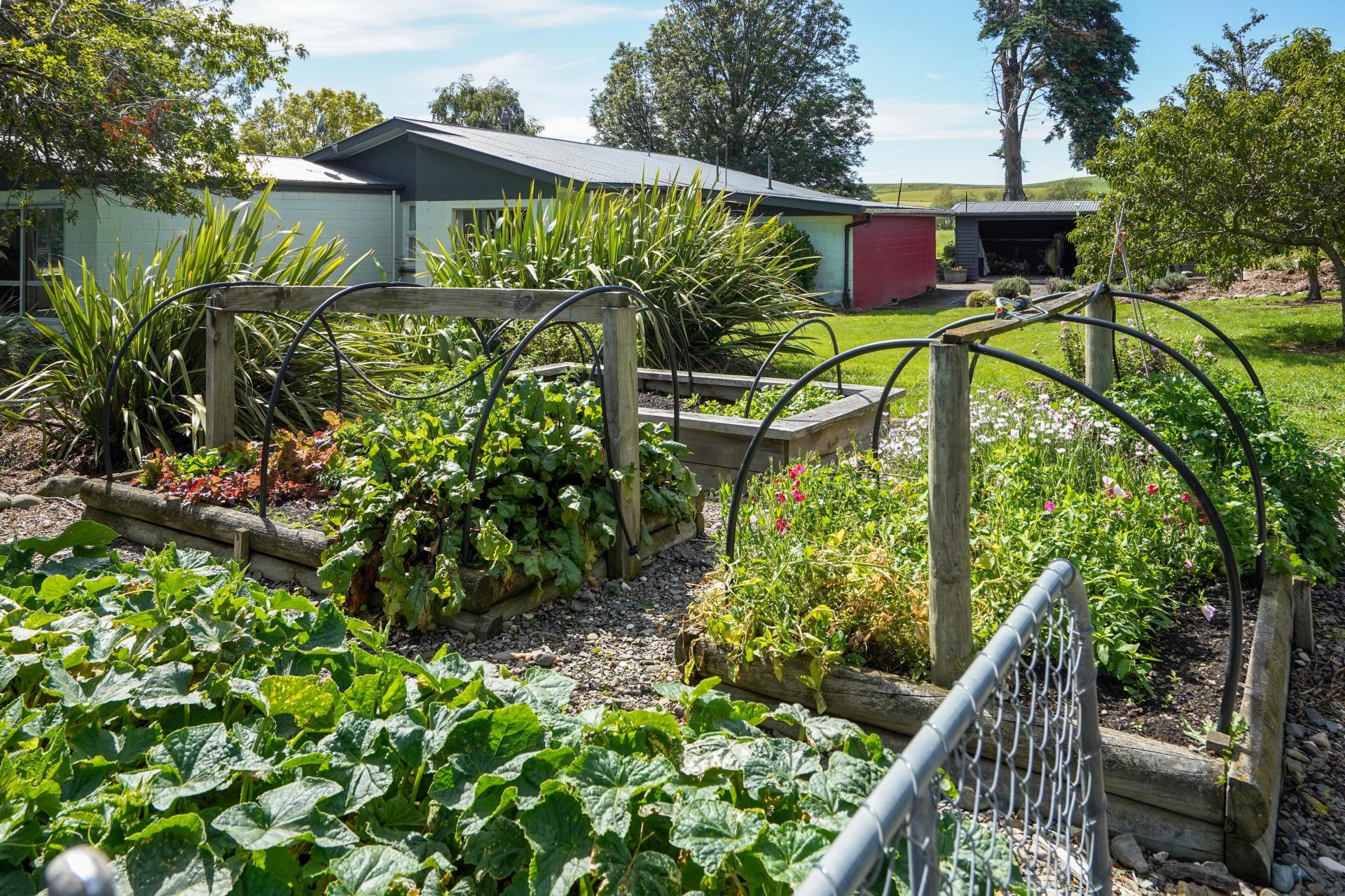 379 Pyramid Valley Road, Pyramid Valley