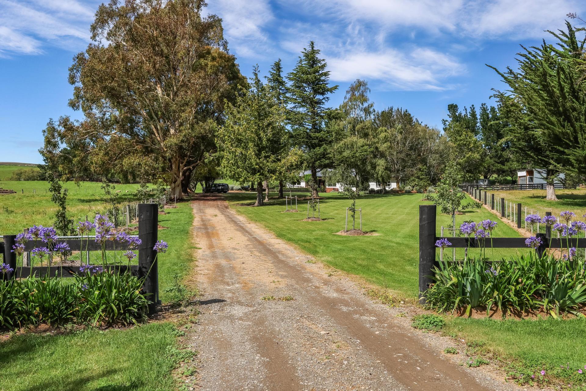 379 Pyramid Valley Road, Pyramid Valley